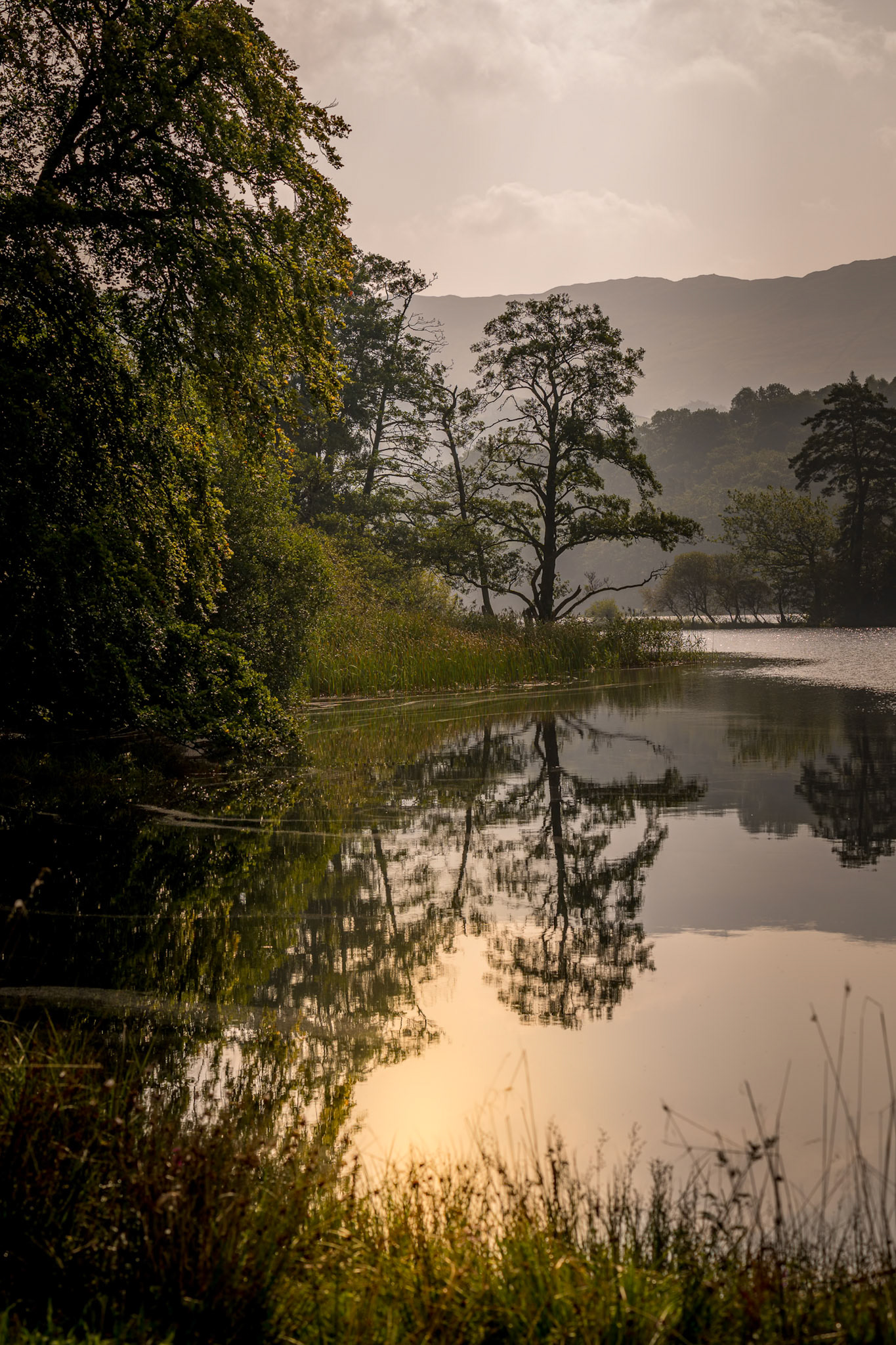 Summer Glow at Rydal