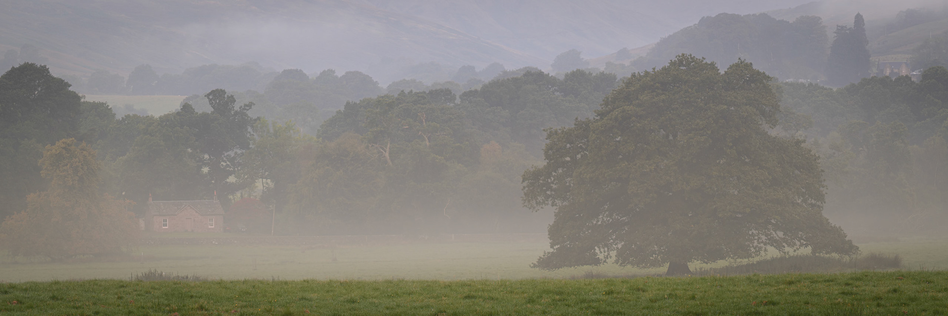 Foggy Morning at Allt a 'Ghualliann Wood - Panorama