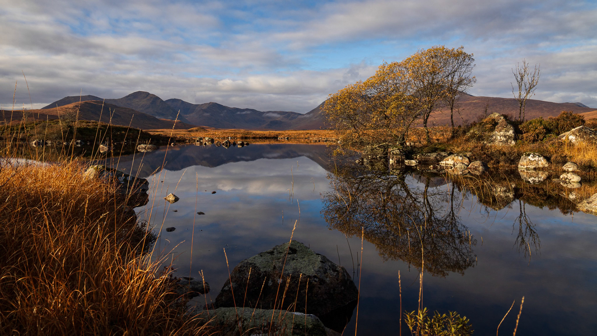 Autumn at Lochan na h-Achlaise