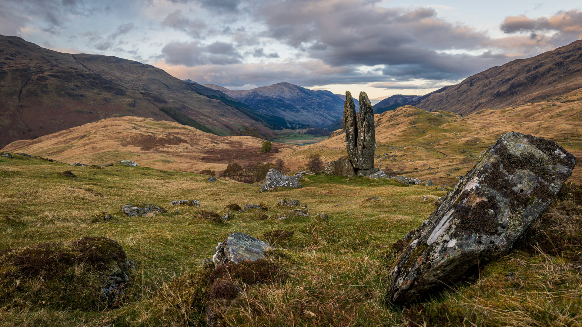 Praying Hands of Mary