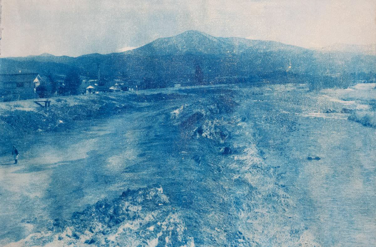 cyanotype with gold powder