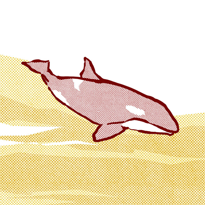 We Are Joiners & Parent Teacher - Song for the Orca