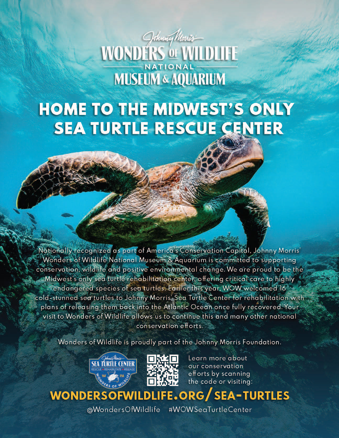Wonders of Wildlife Sea Turtle Rescue Center Ad