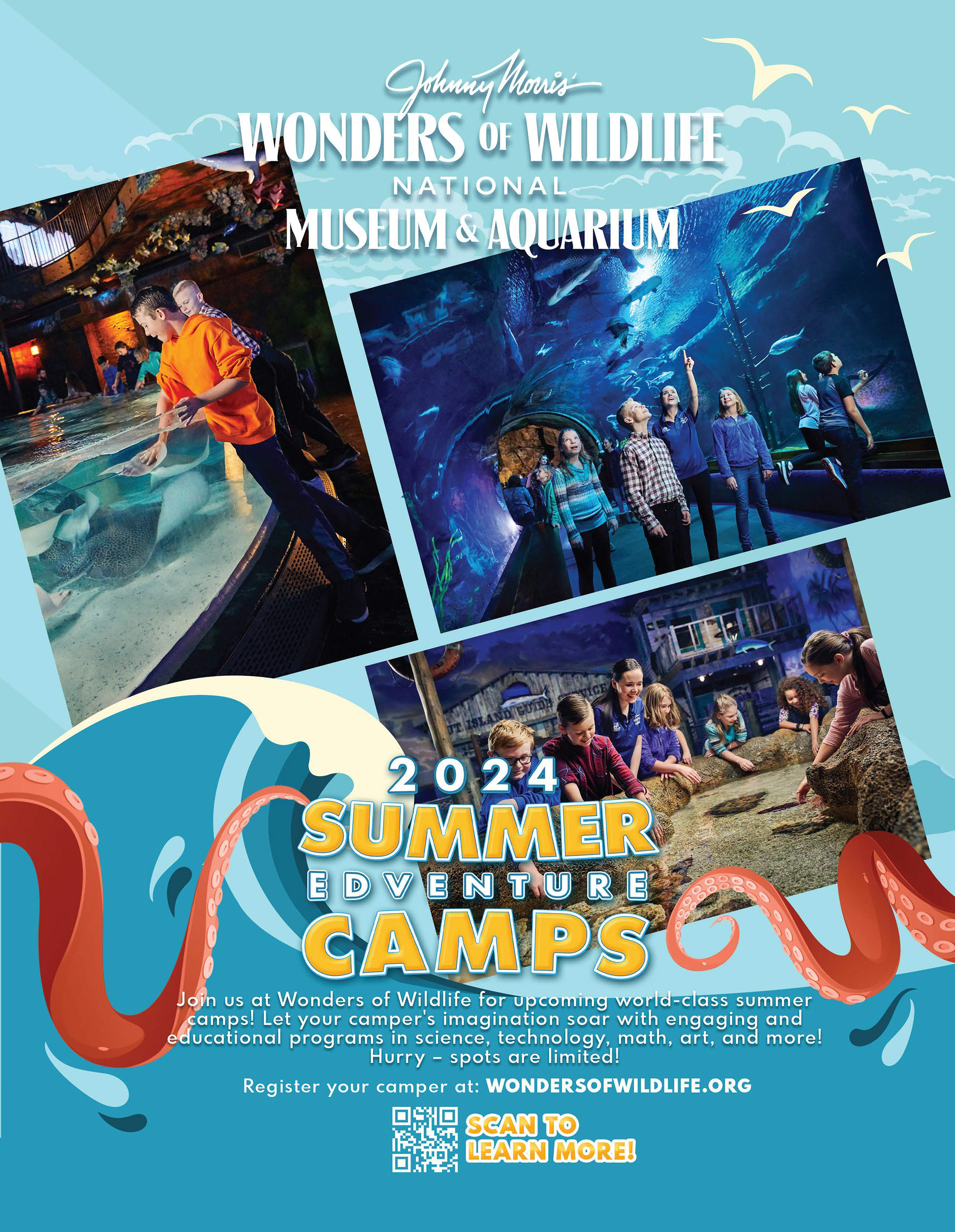 Wonders of Wildlife Summer Camps Ad