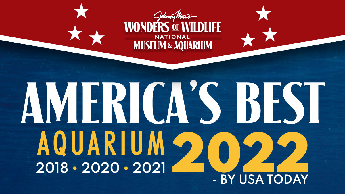 2022 American's Best Aquarium Win Announcement Eblast Call Out