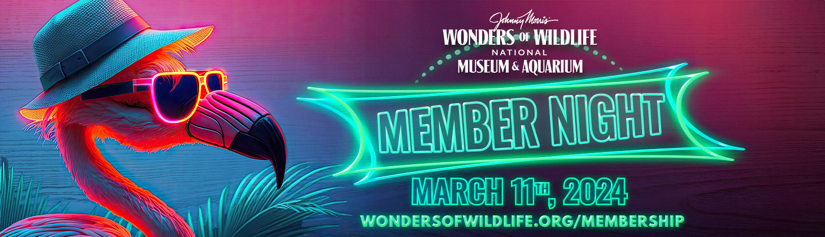 Member Night Digital Billboard