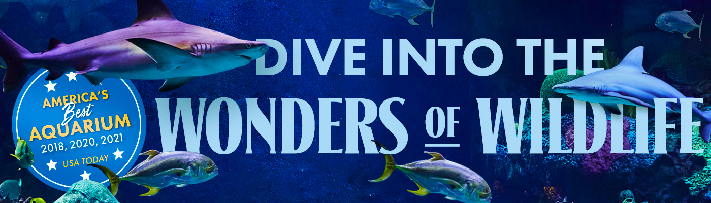 Wonder of Wildlife Digital Billboard