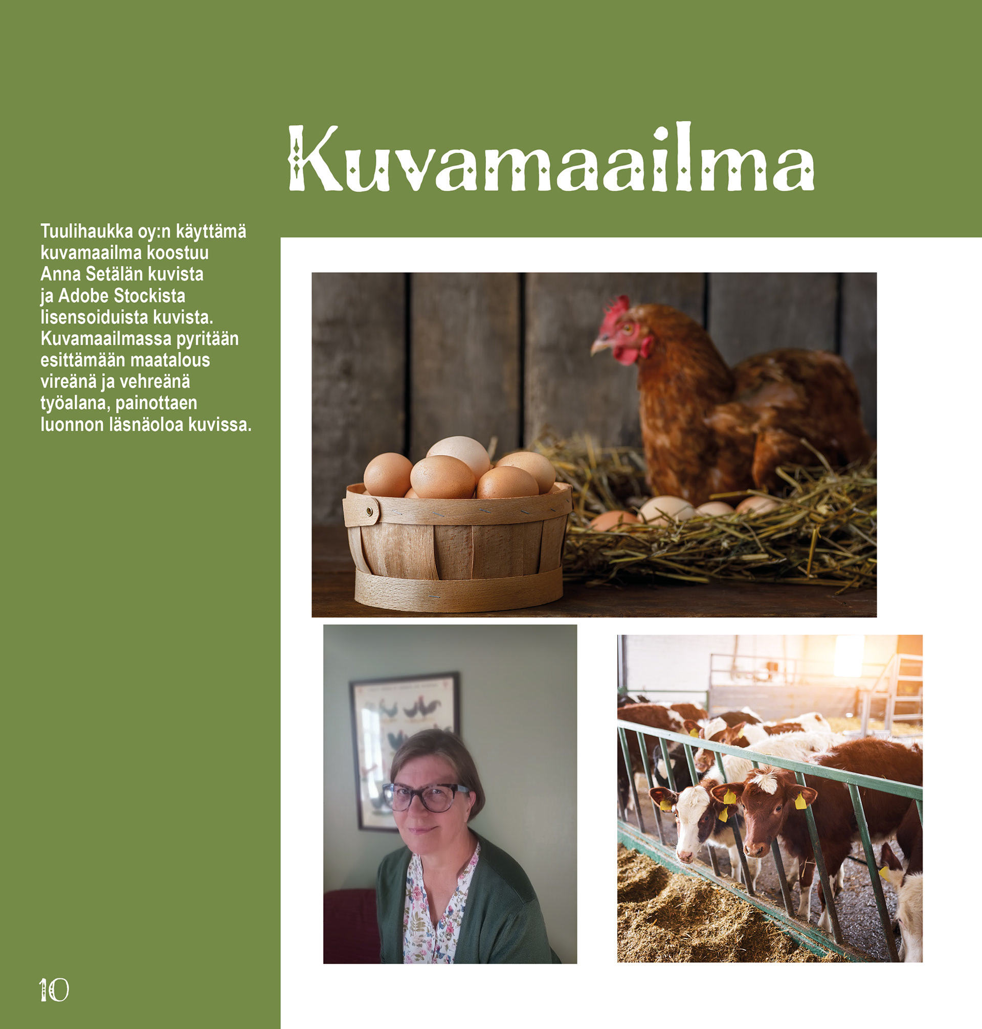 Tuulihaukka Oy:n graafinen ohjeisto