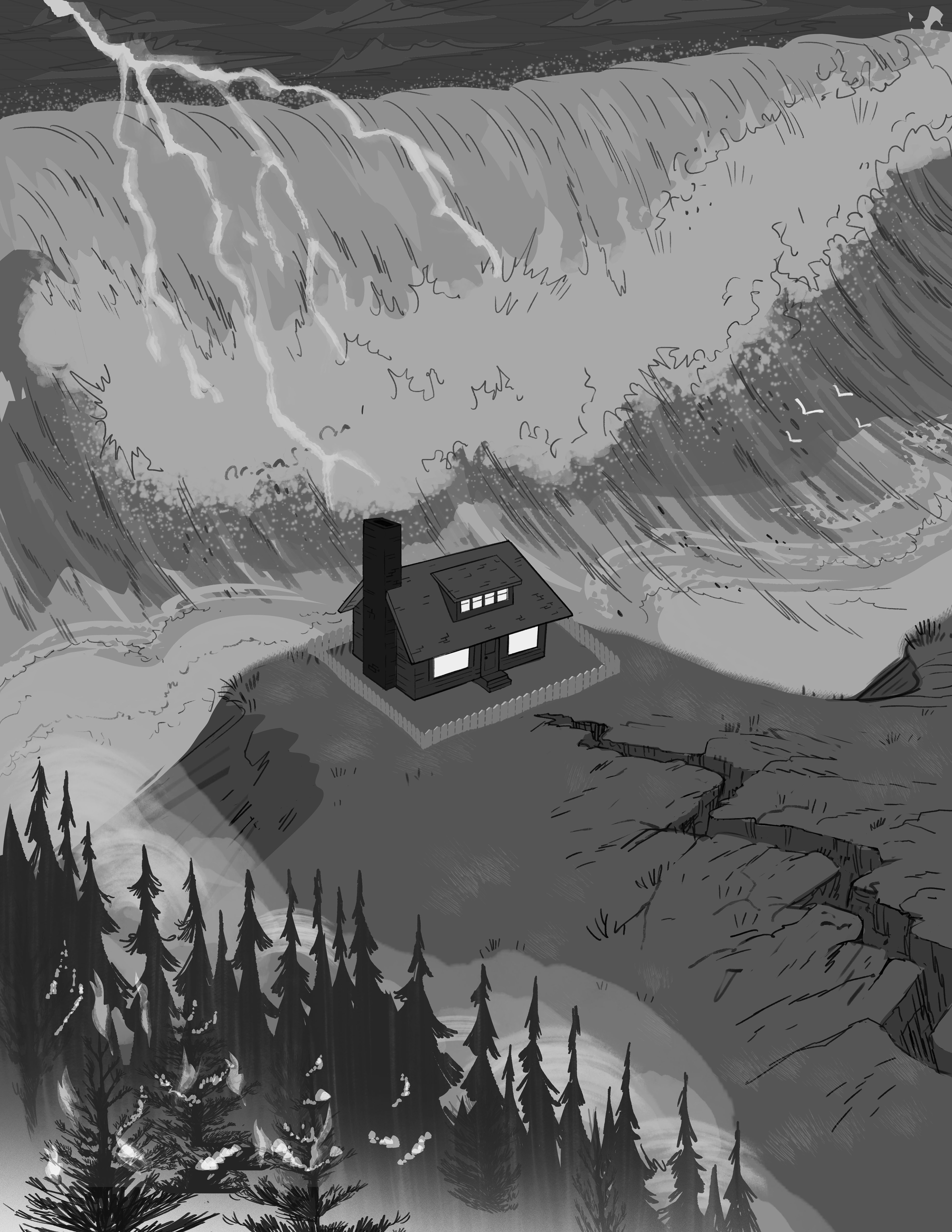 Step 2: Tight Pencil-Grey Scale drawing
