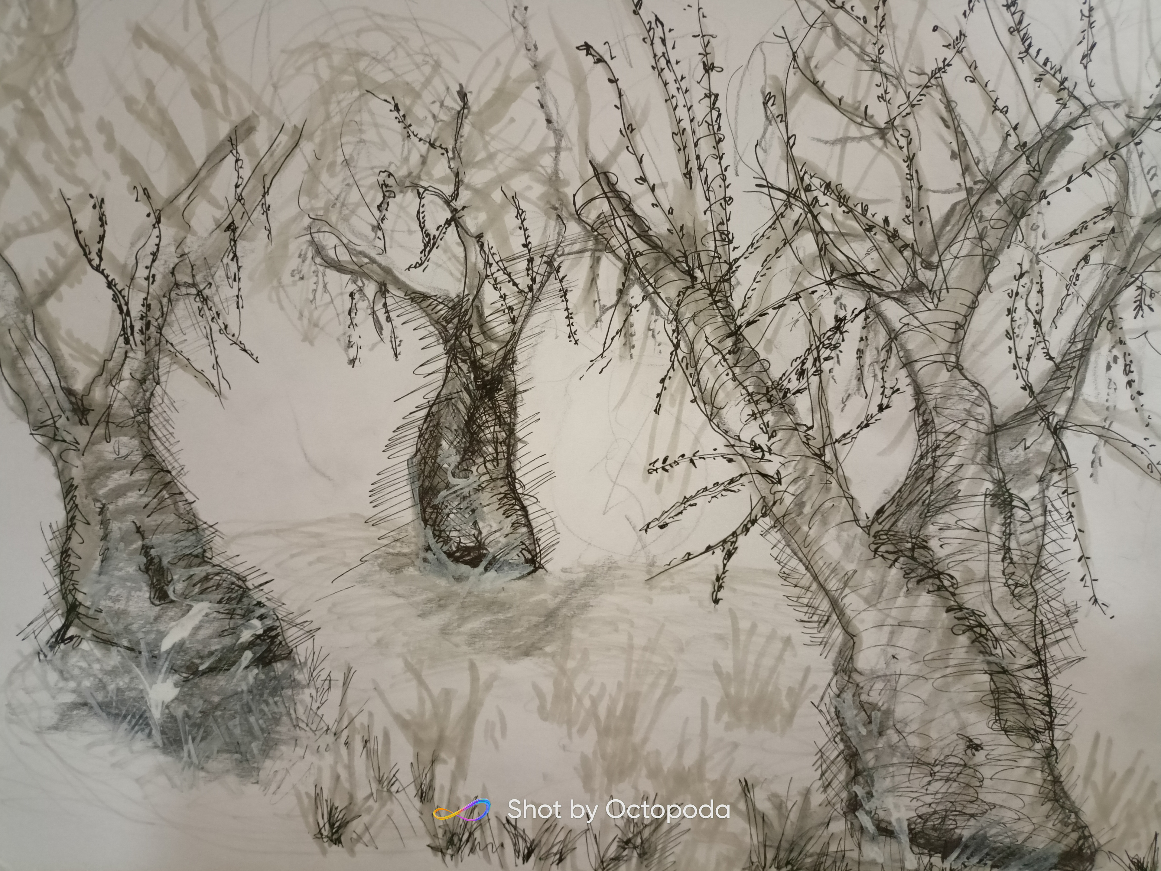 Olive Paradise Otranto - Italy, 2022