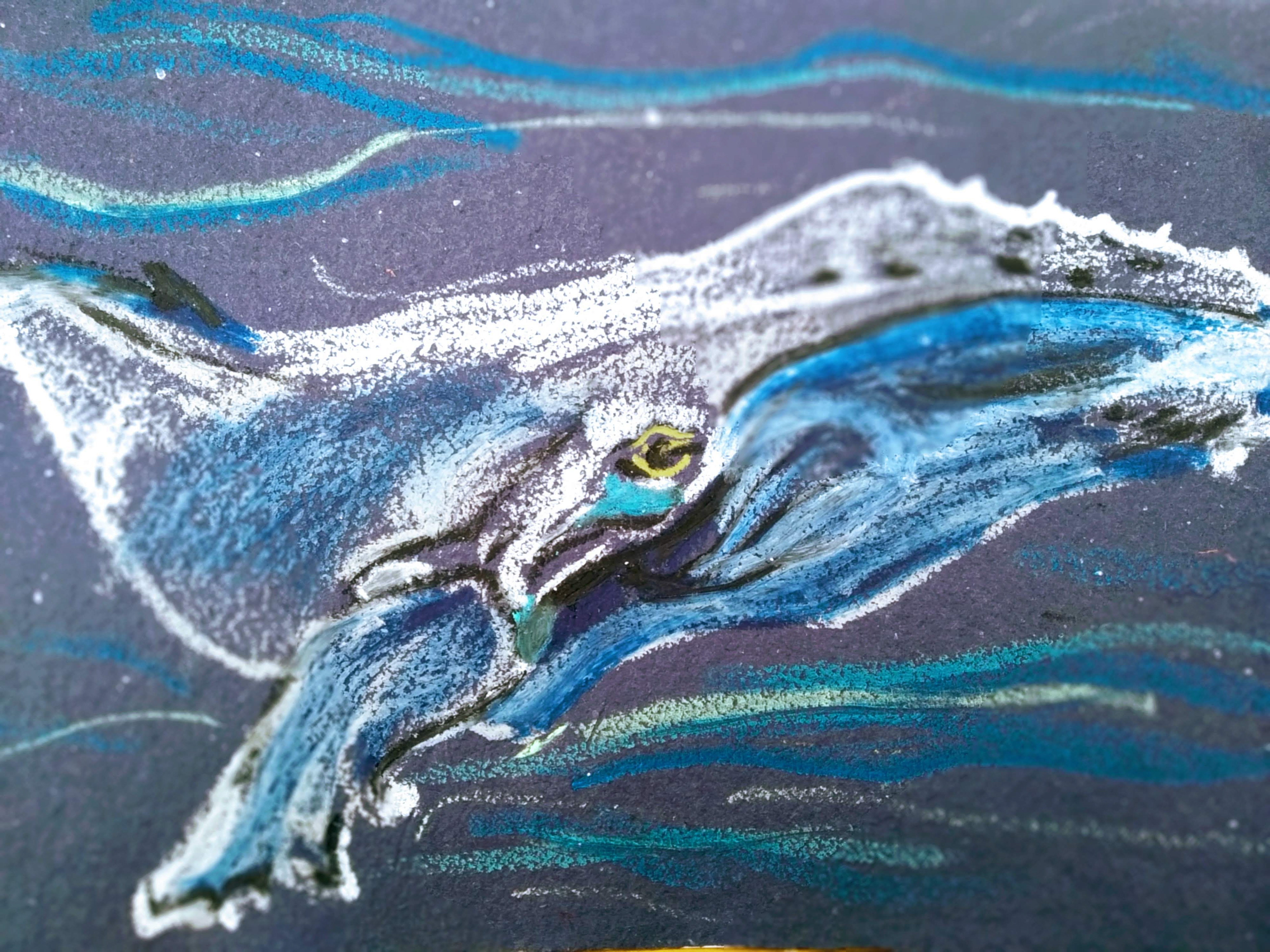 Humpback whale by Octopoda, 2021