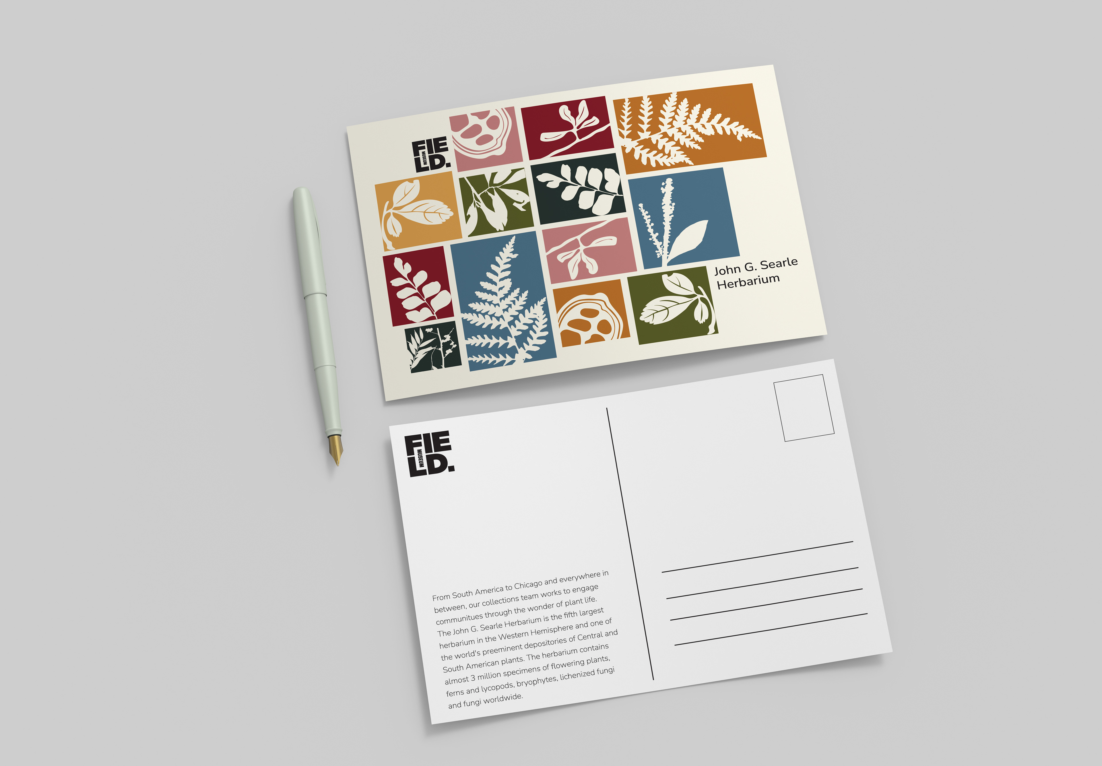 postcard with plant leaf outlines.