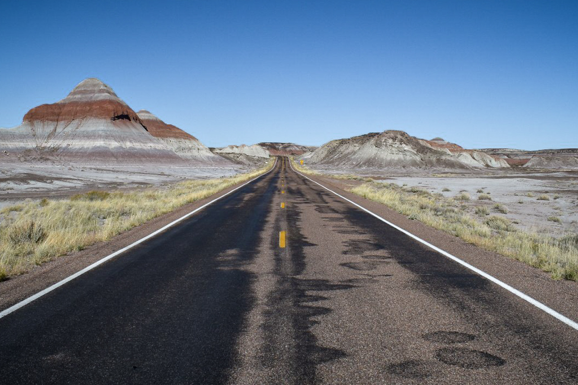 Petrified Forest National Park