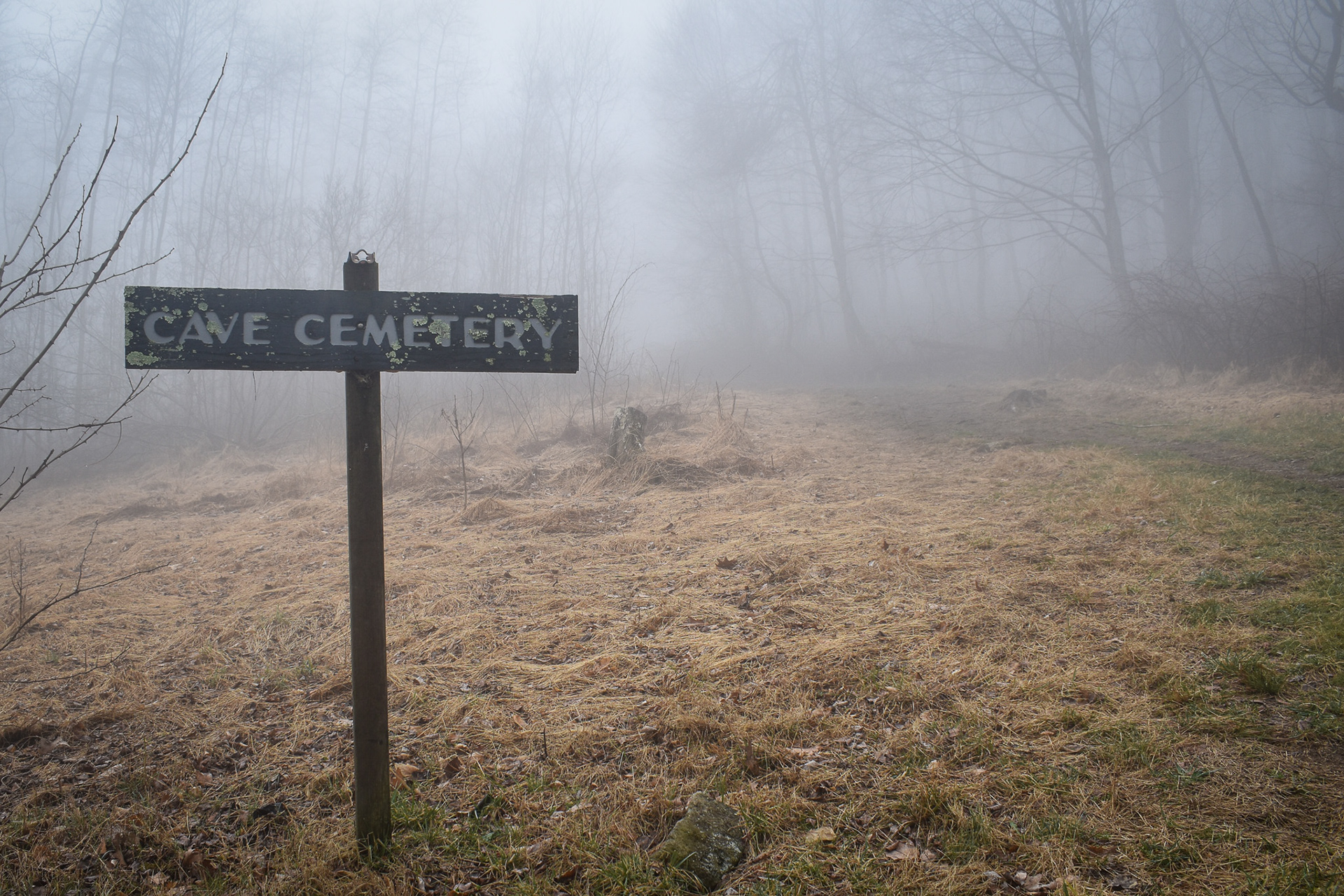 Shenandoah National Park