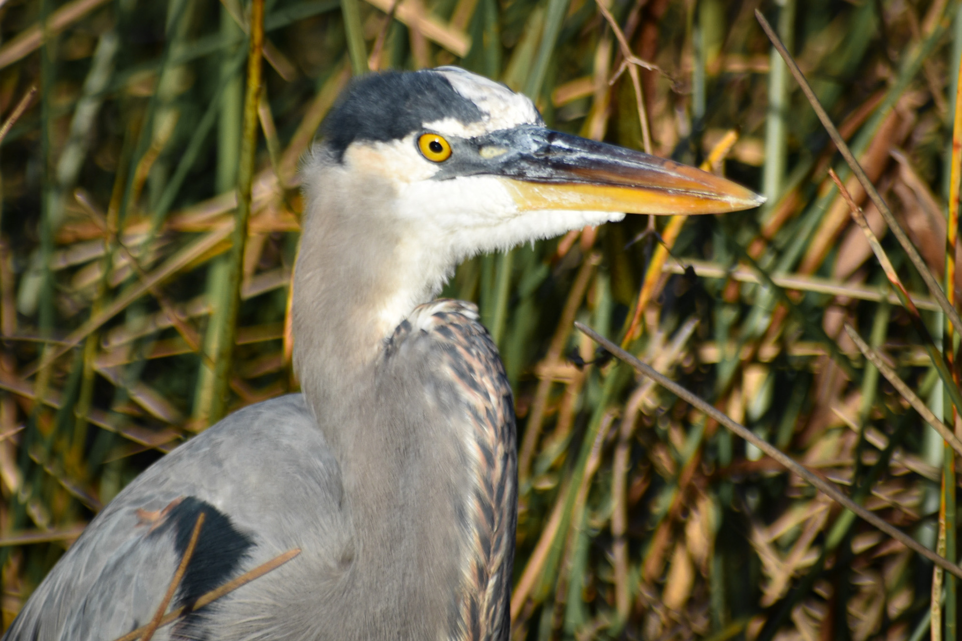 Everglades National Park