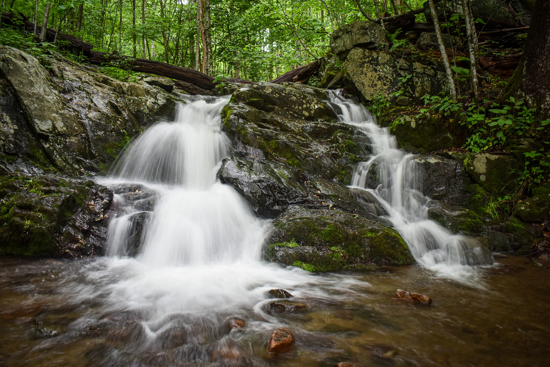 Shenandoah National Park