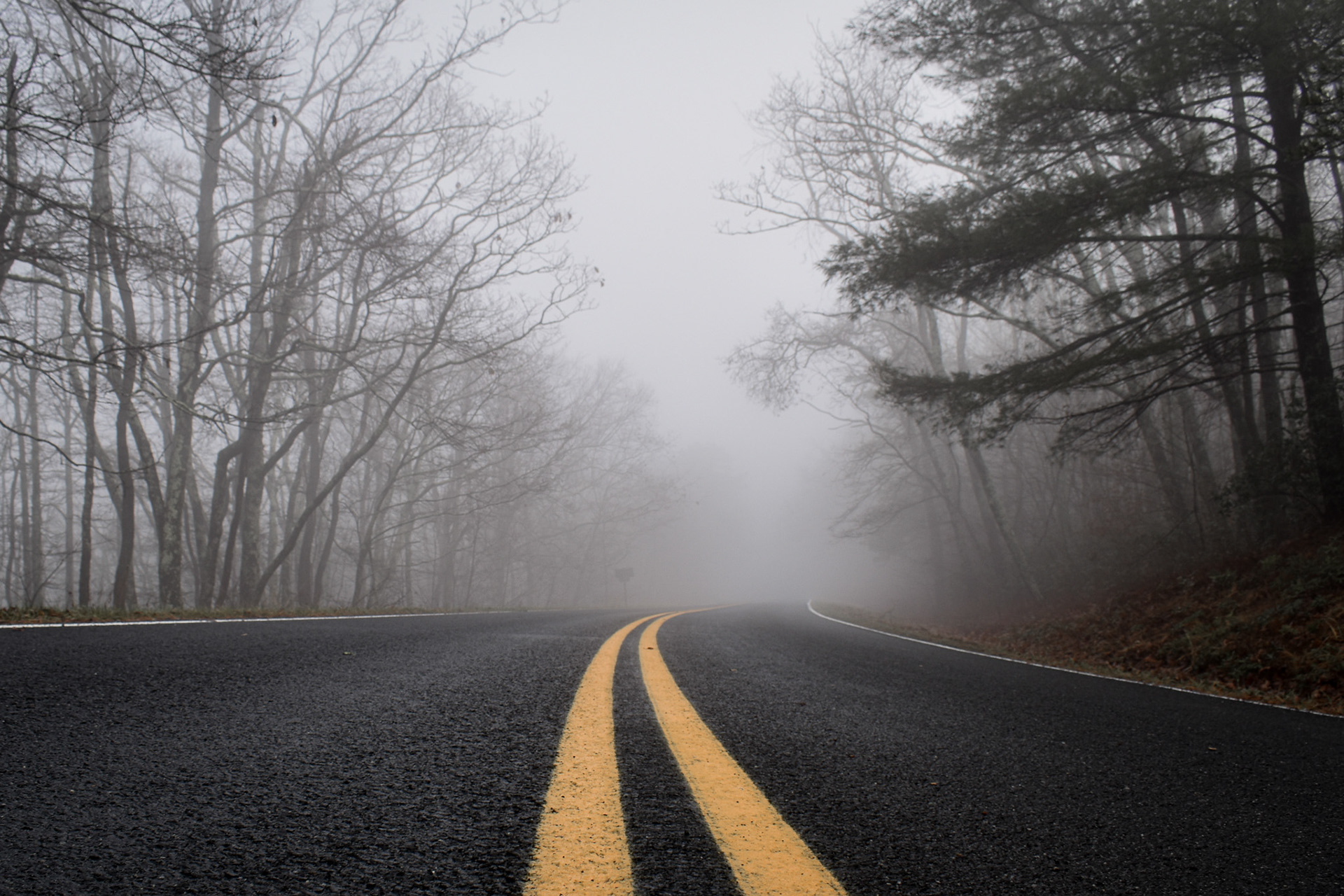 Shenandoah National Park