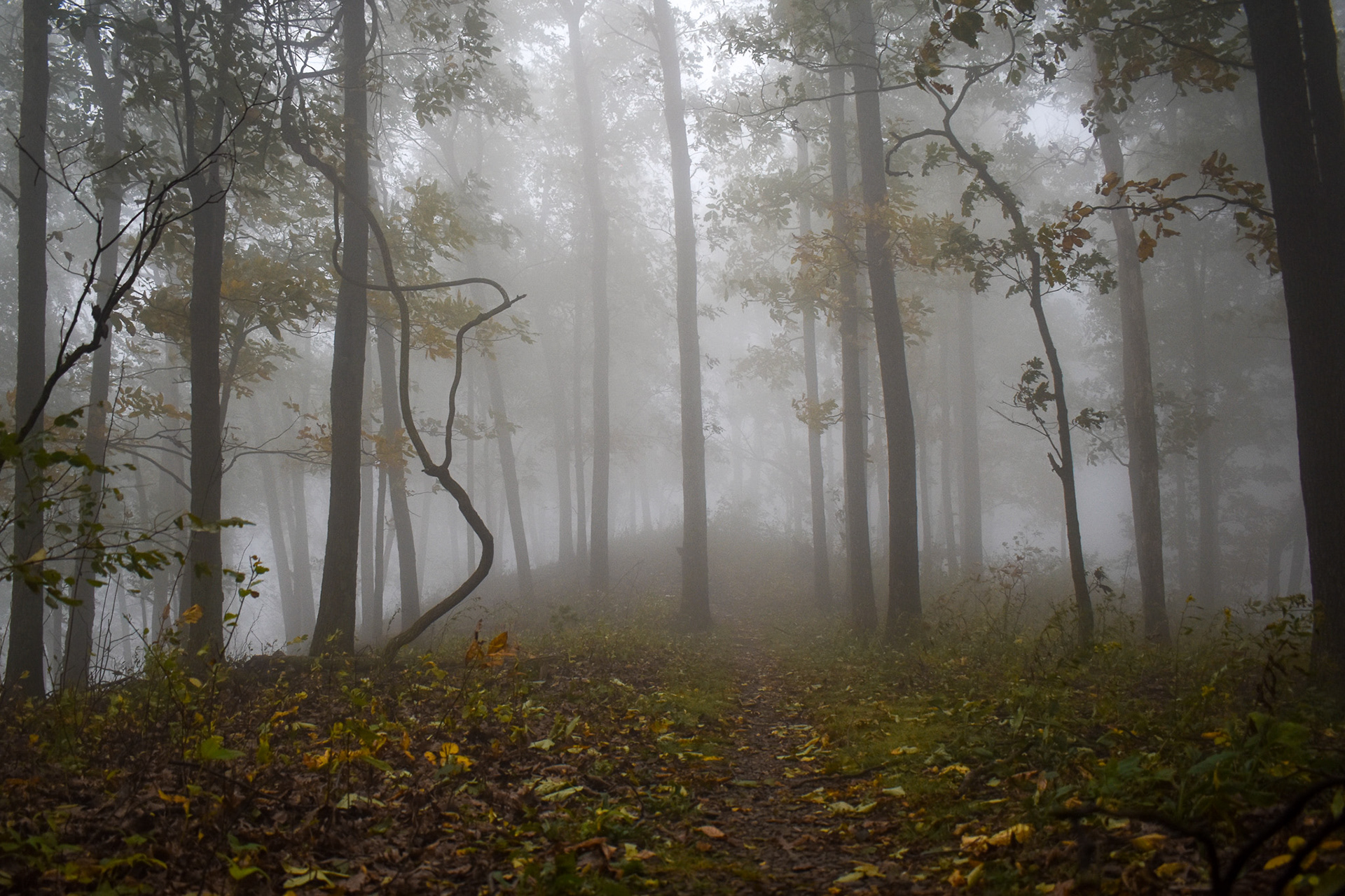 Shenandoah National Park