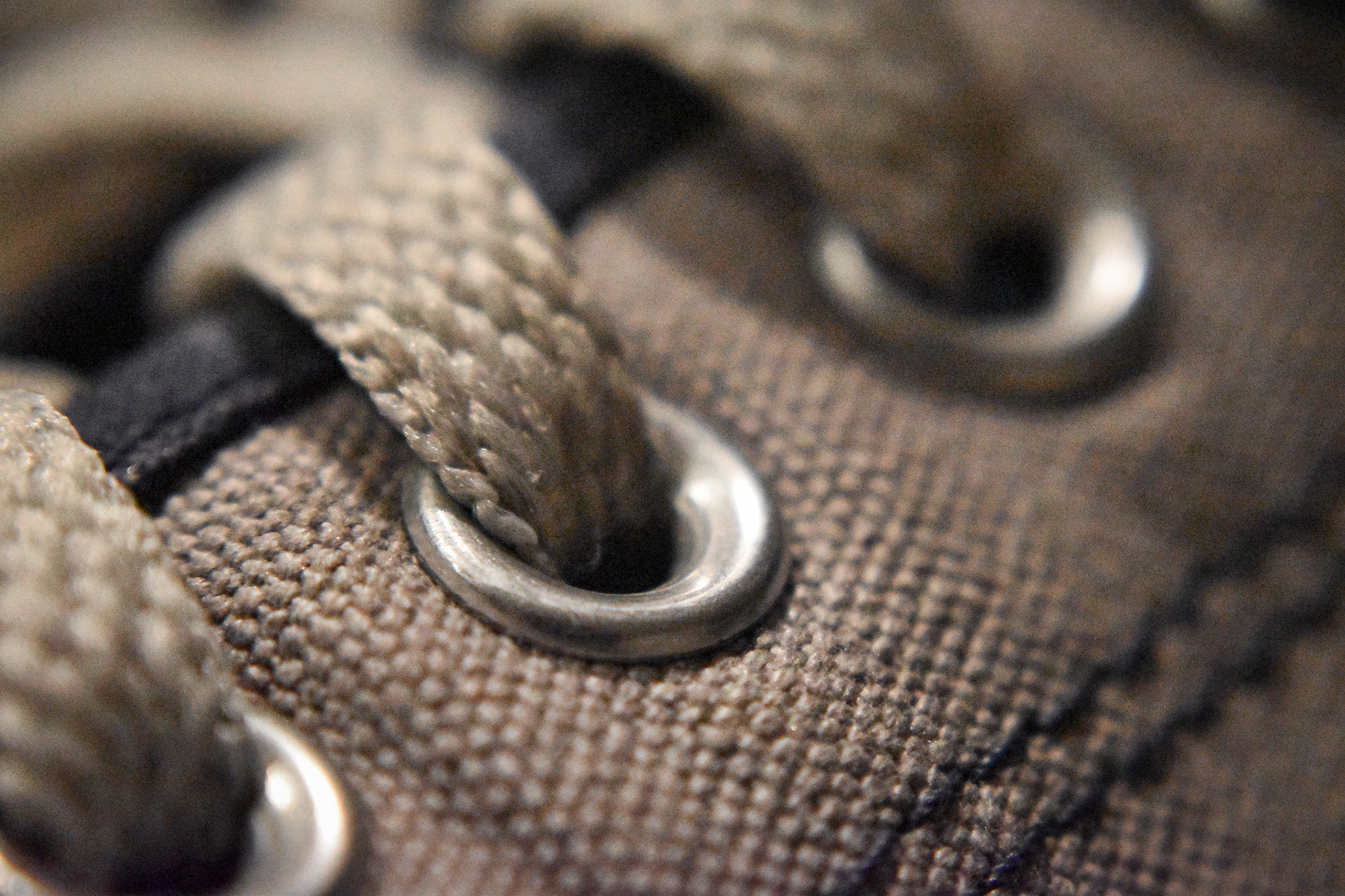 My shoe