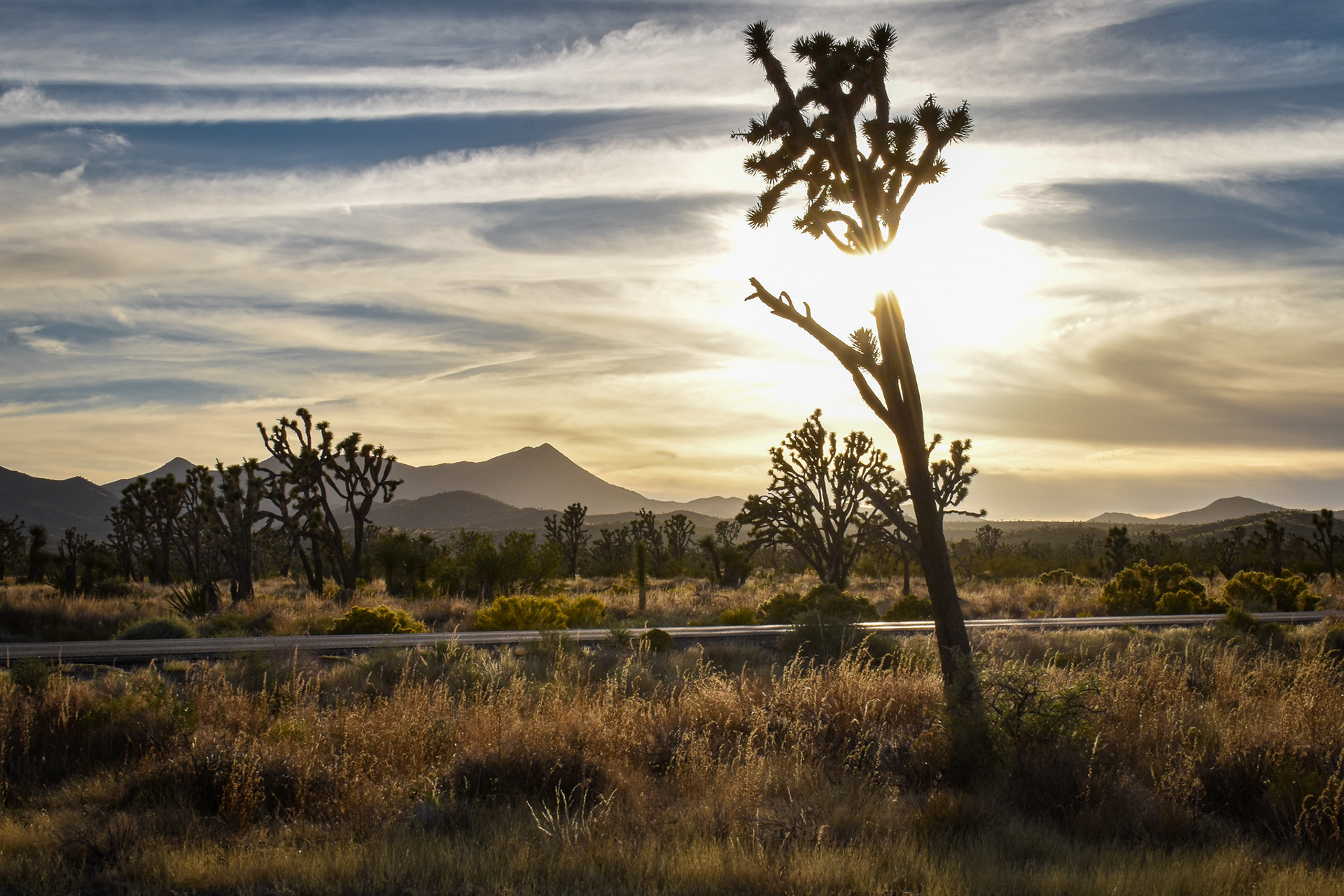 Searchlight, Nevada