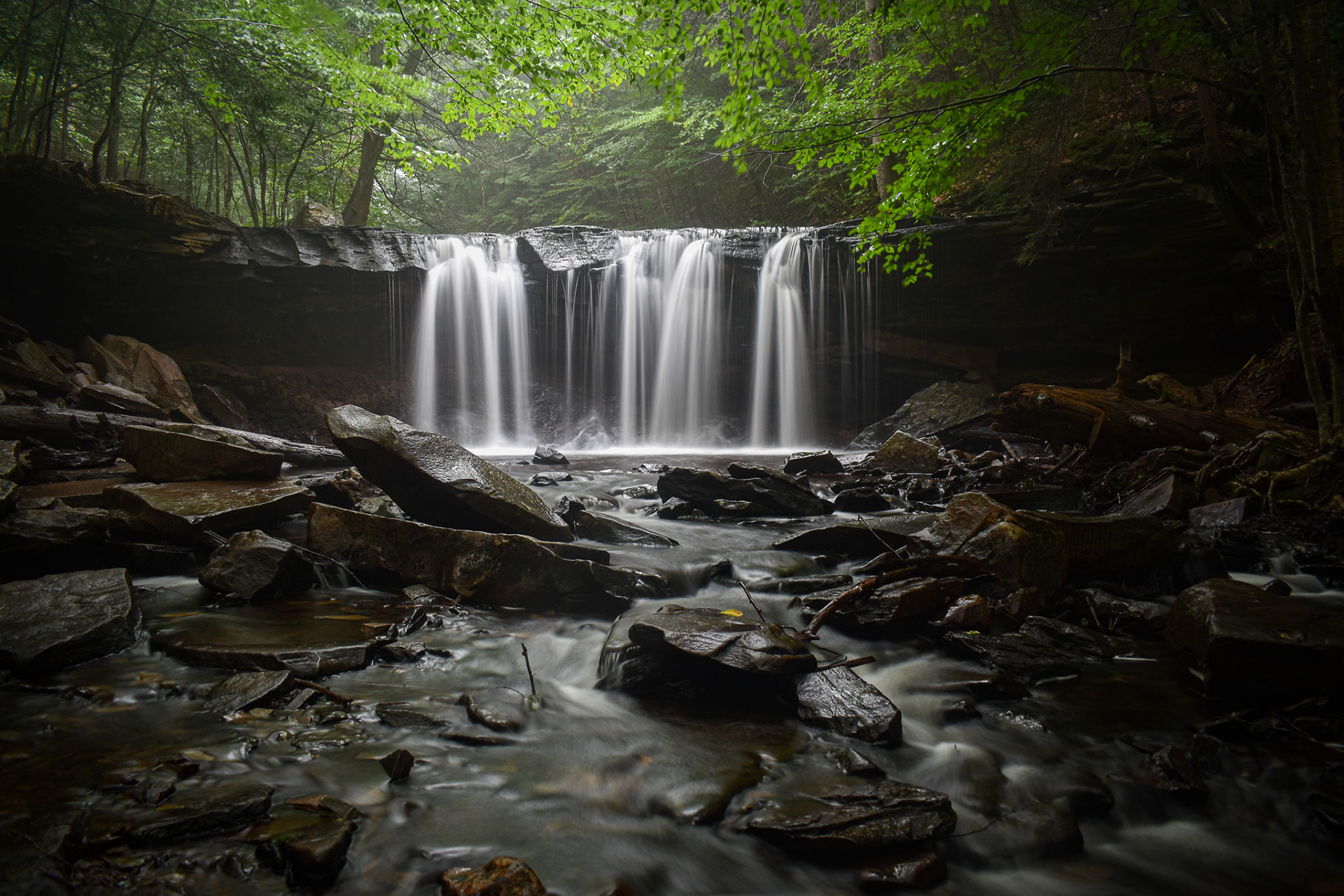 Ricketts Glen State Park