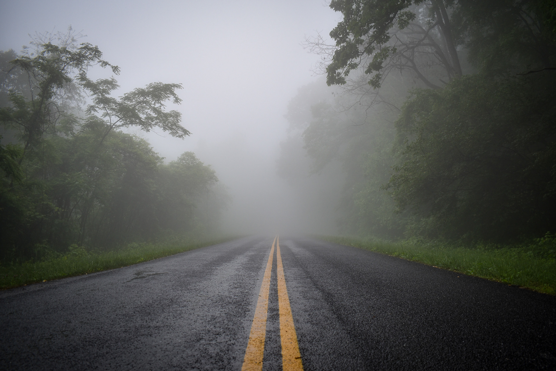 Shenandoah National Park