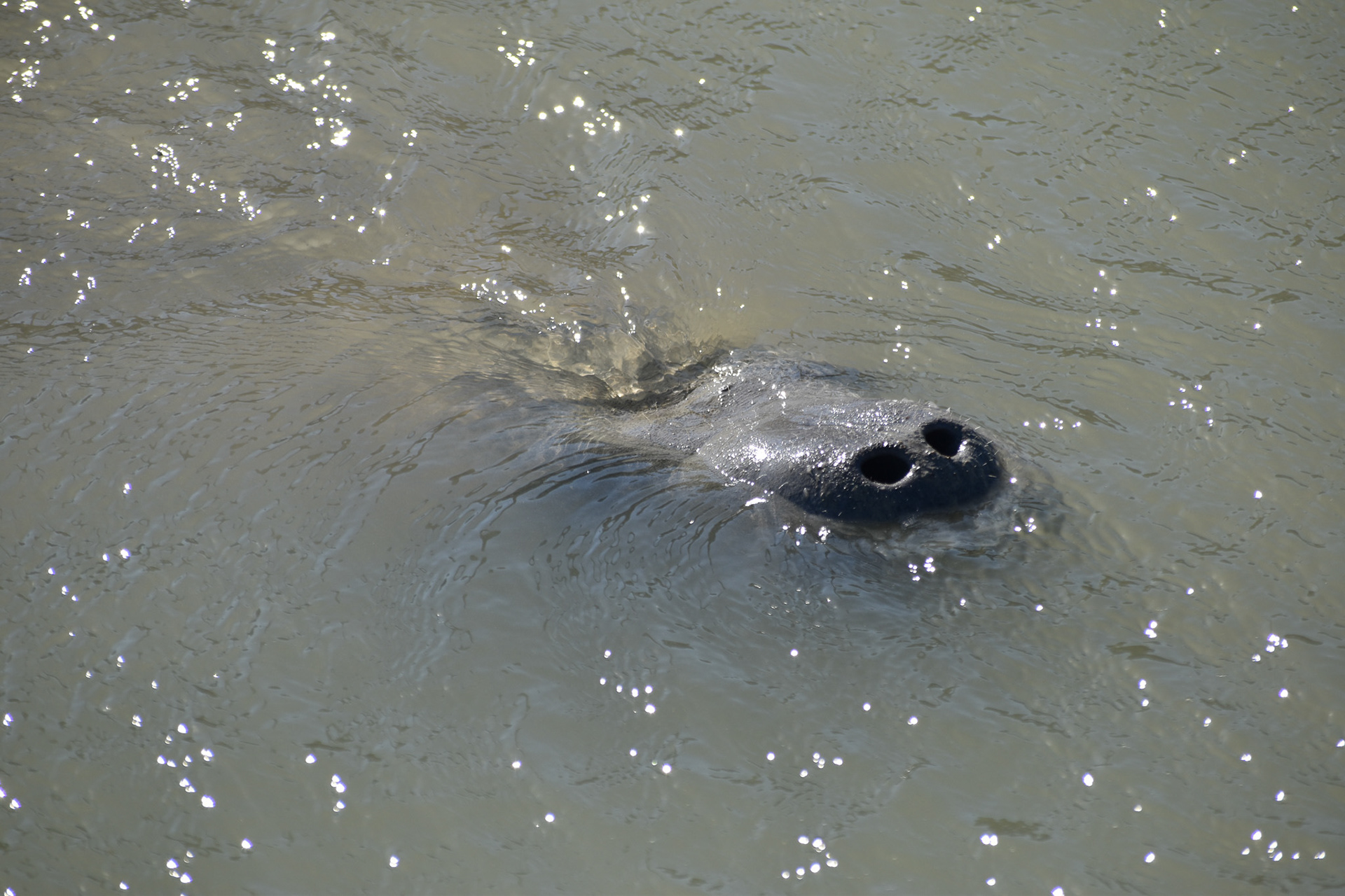 Everglades National Park
