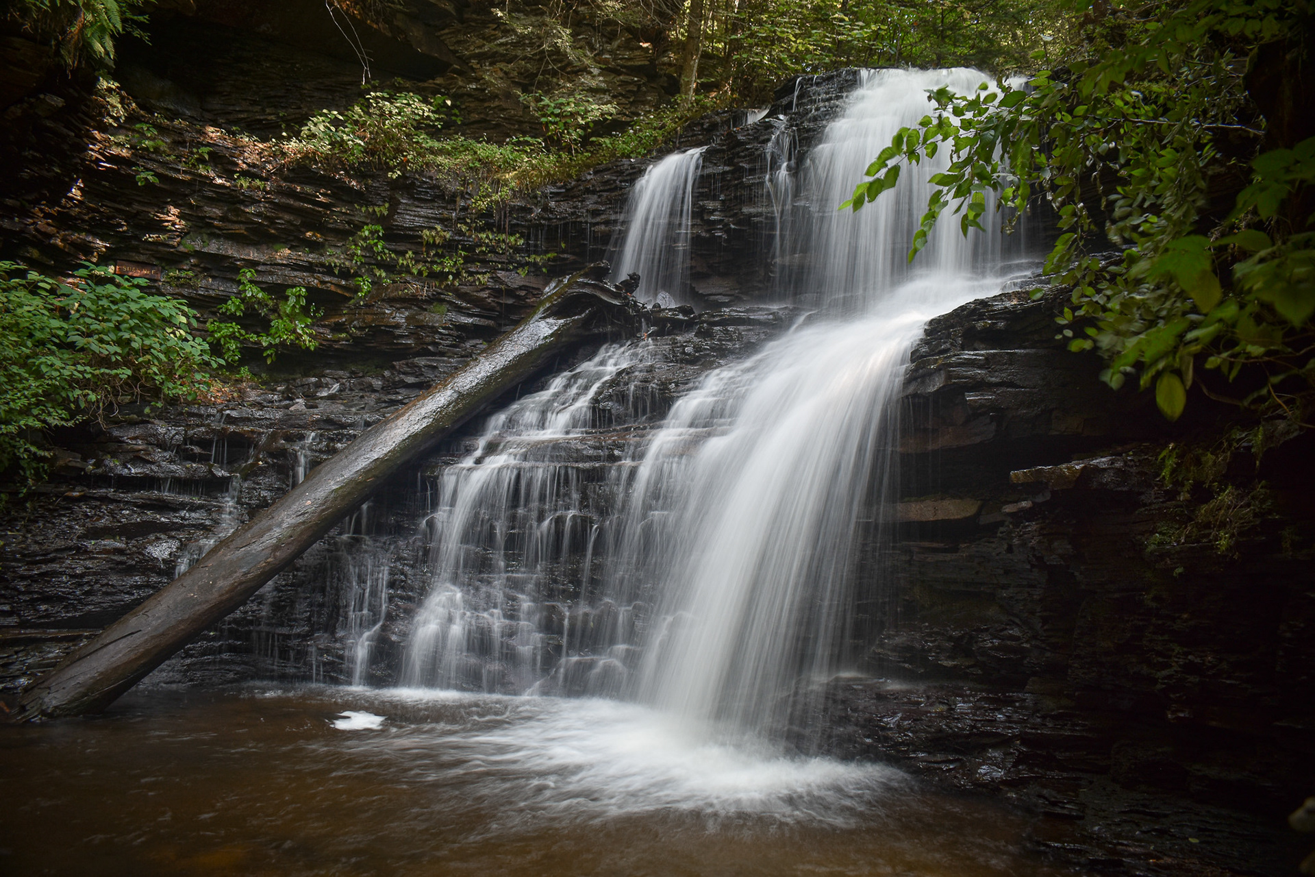 Ricketts Glen State Park