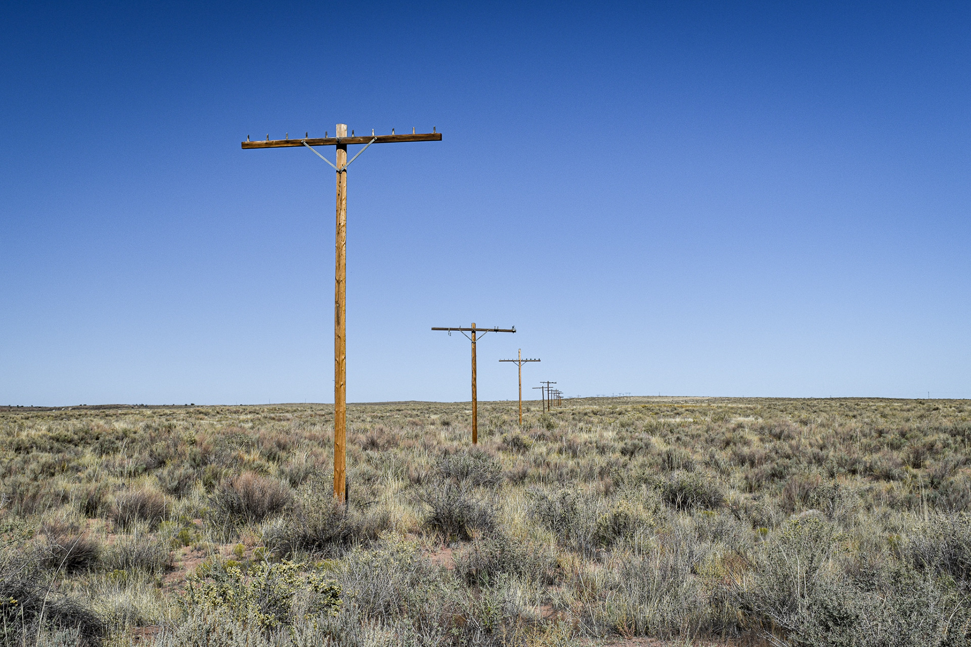 Petrified Forest National Park