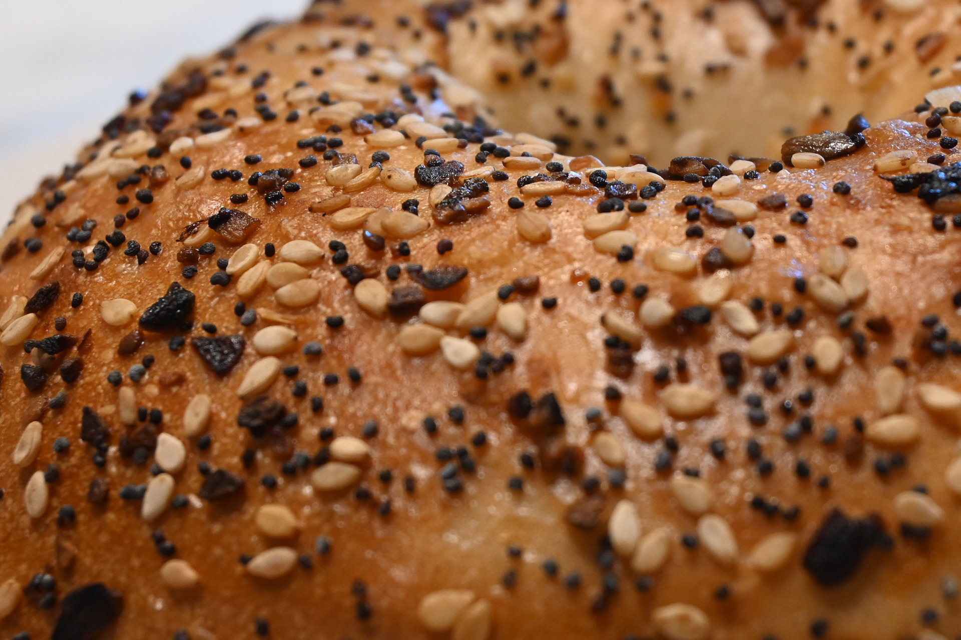 Bagel
