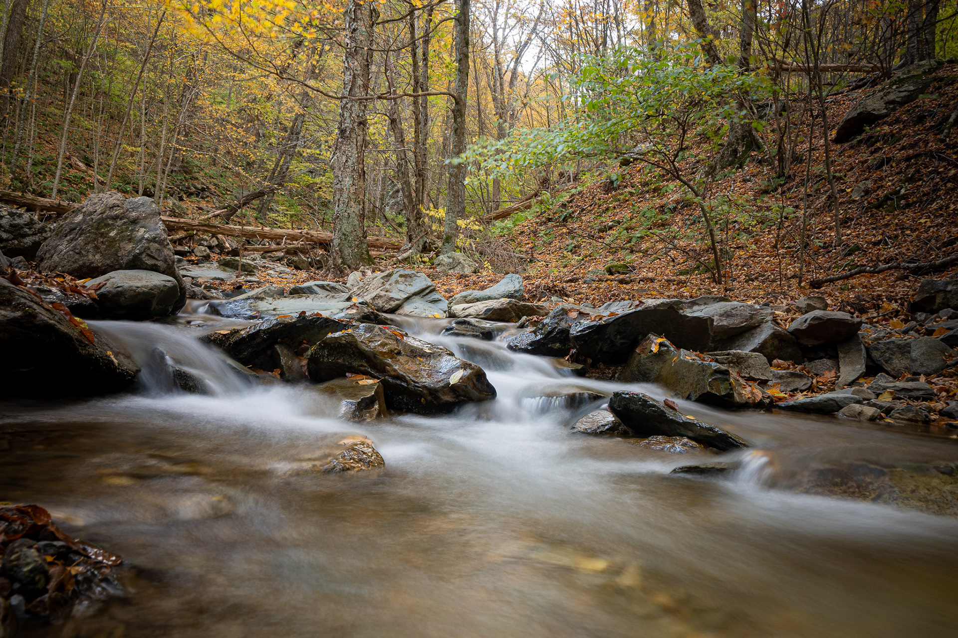 Shenandoah National Park