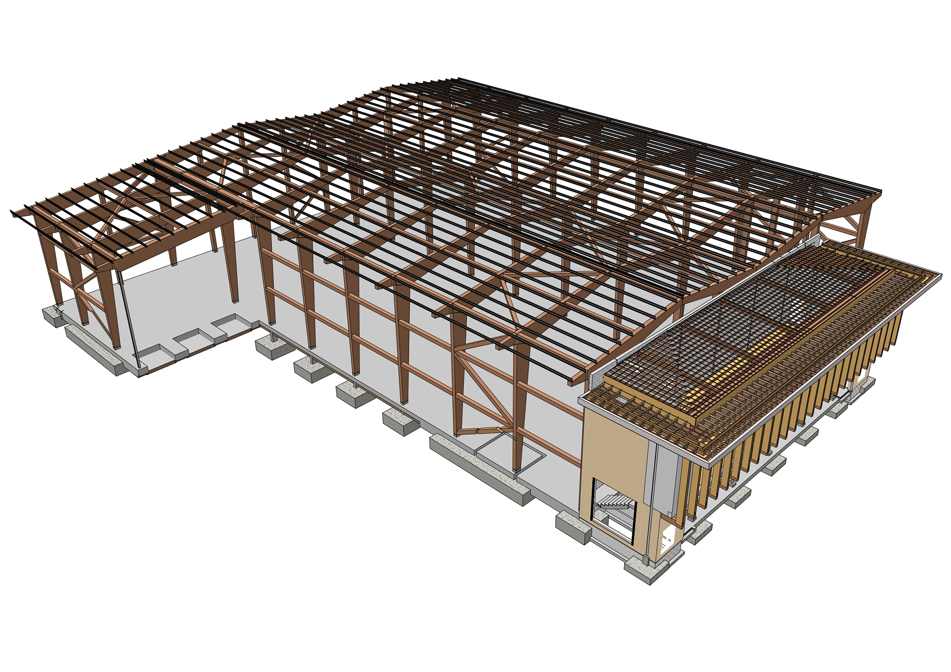 BIM Structural Model