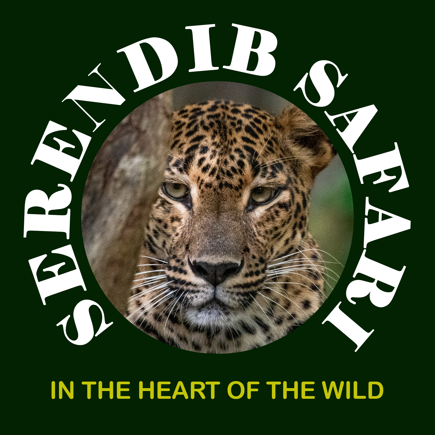 SERENDIB SAFARI