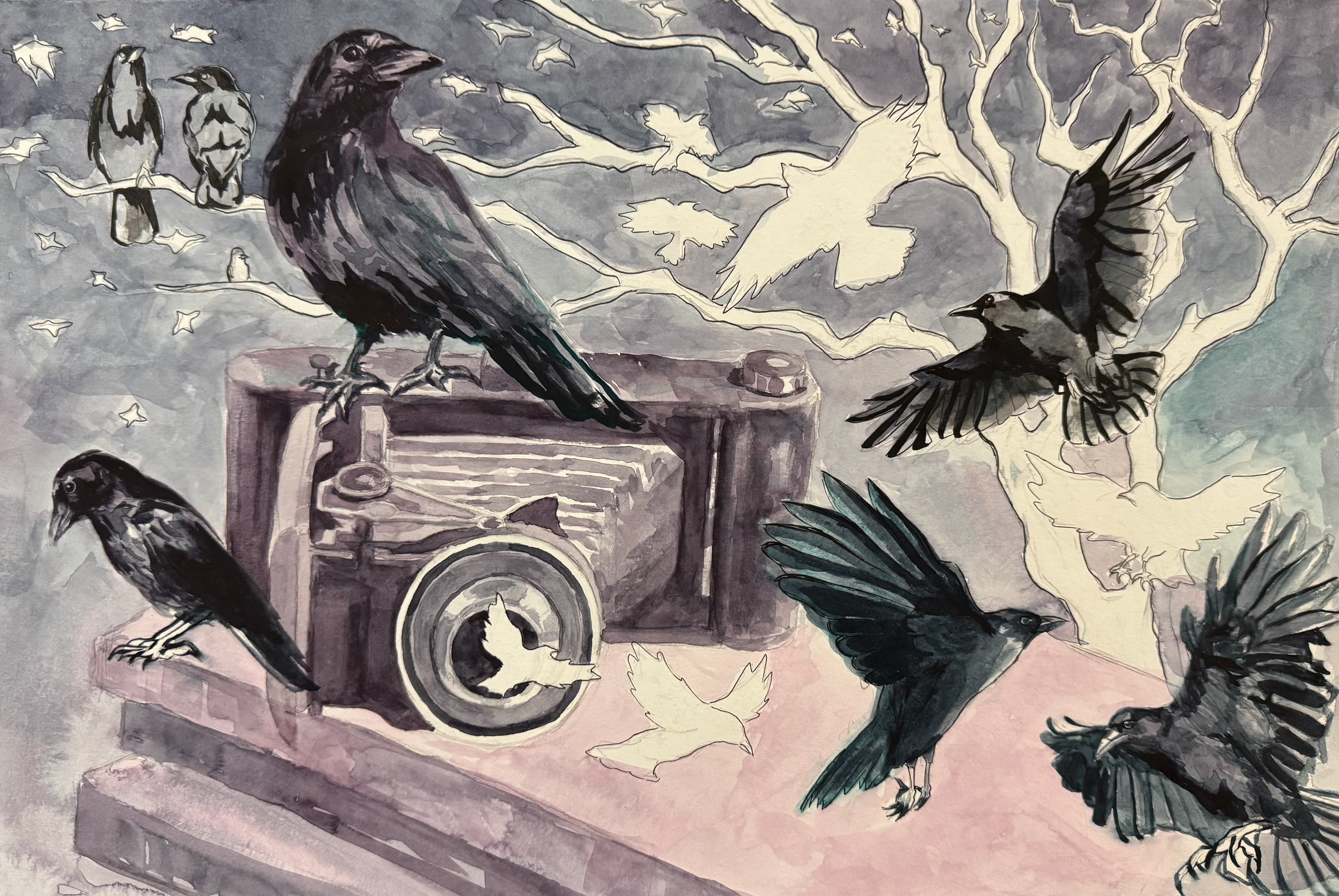 Crow Literature