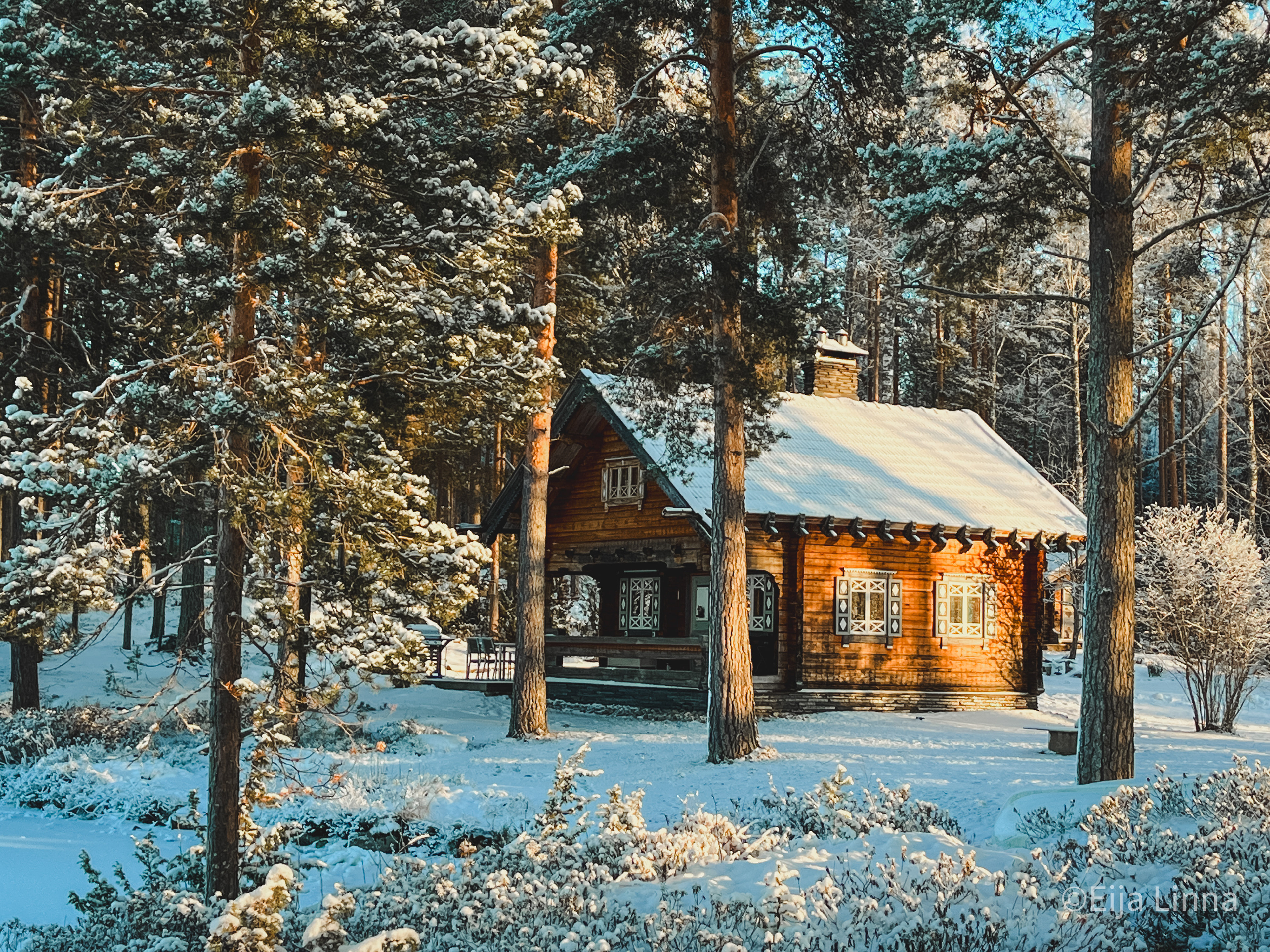 Mökki tammikuussa / The cabin in January