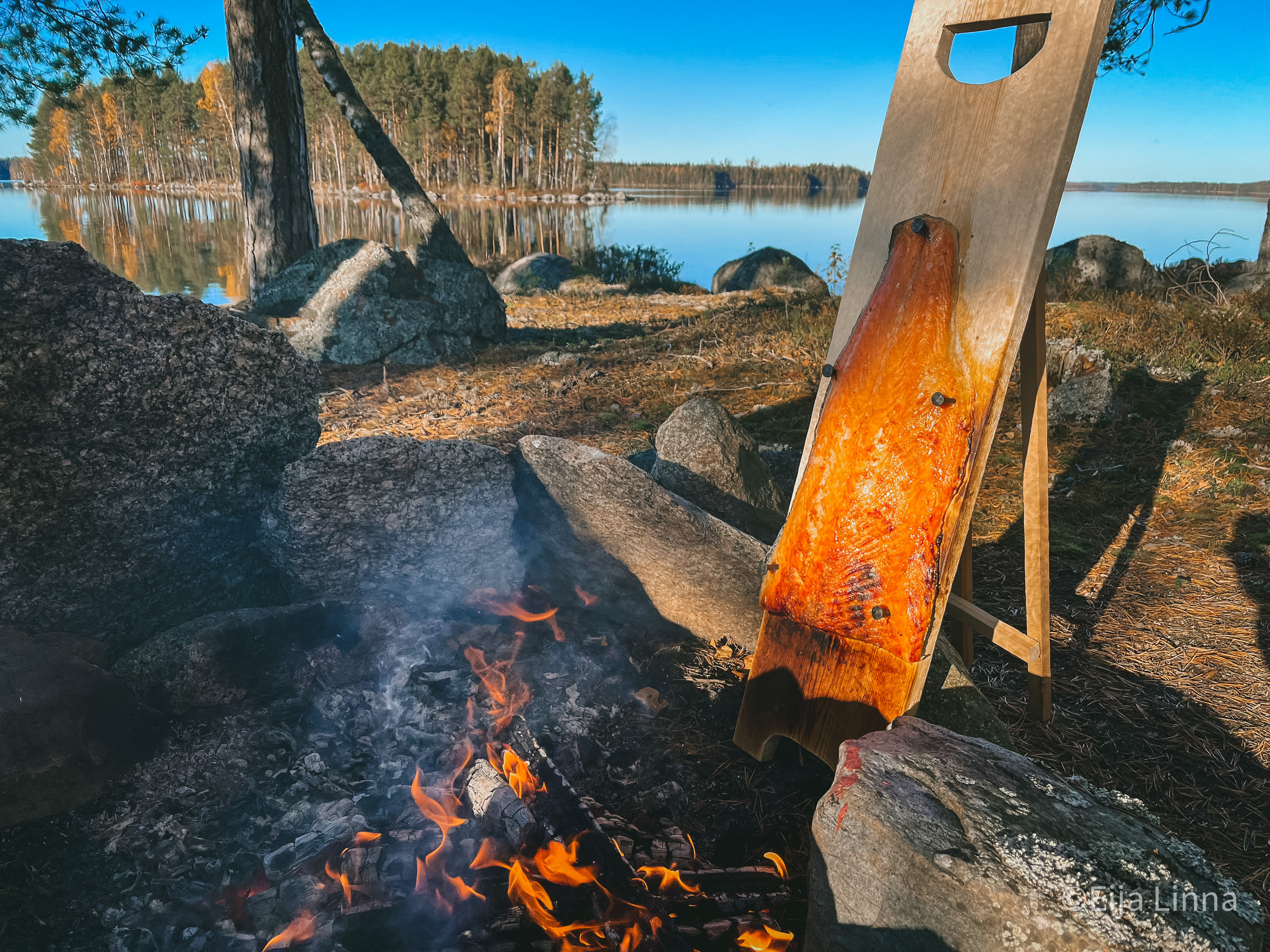 Loimutusta / Flaming salmon