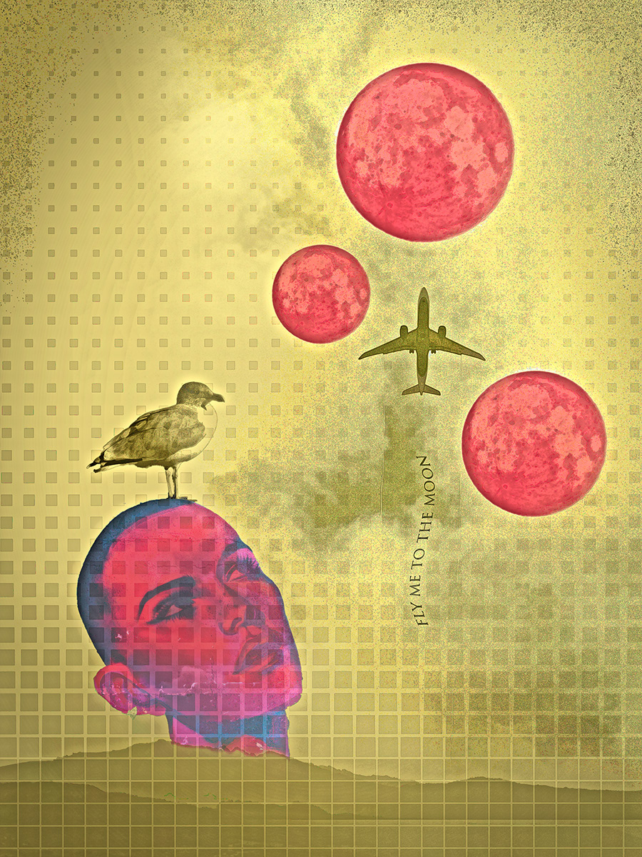 Fly Me To The Moon