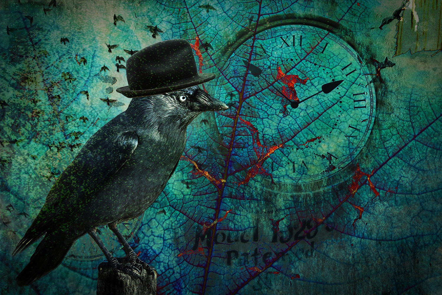 The Crow