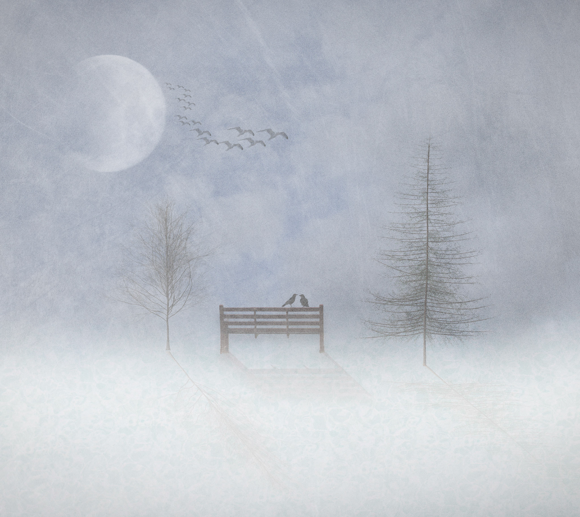 Winter Scene