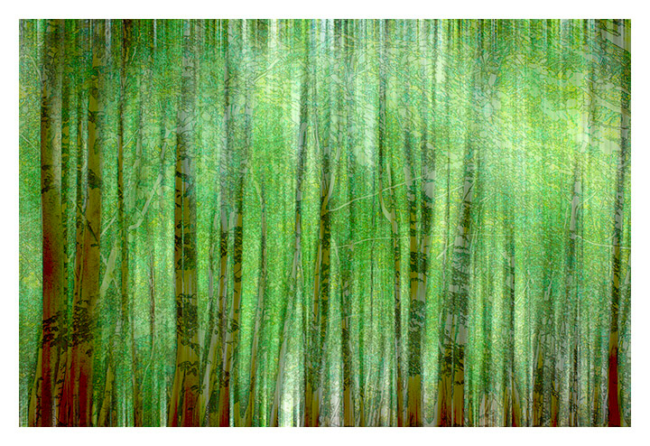 The Abstract Outdoors
