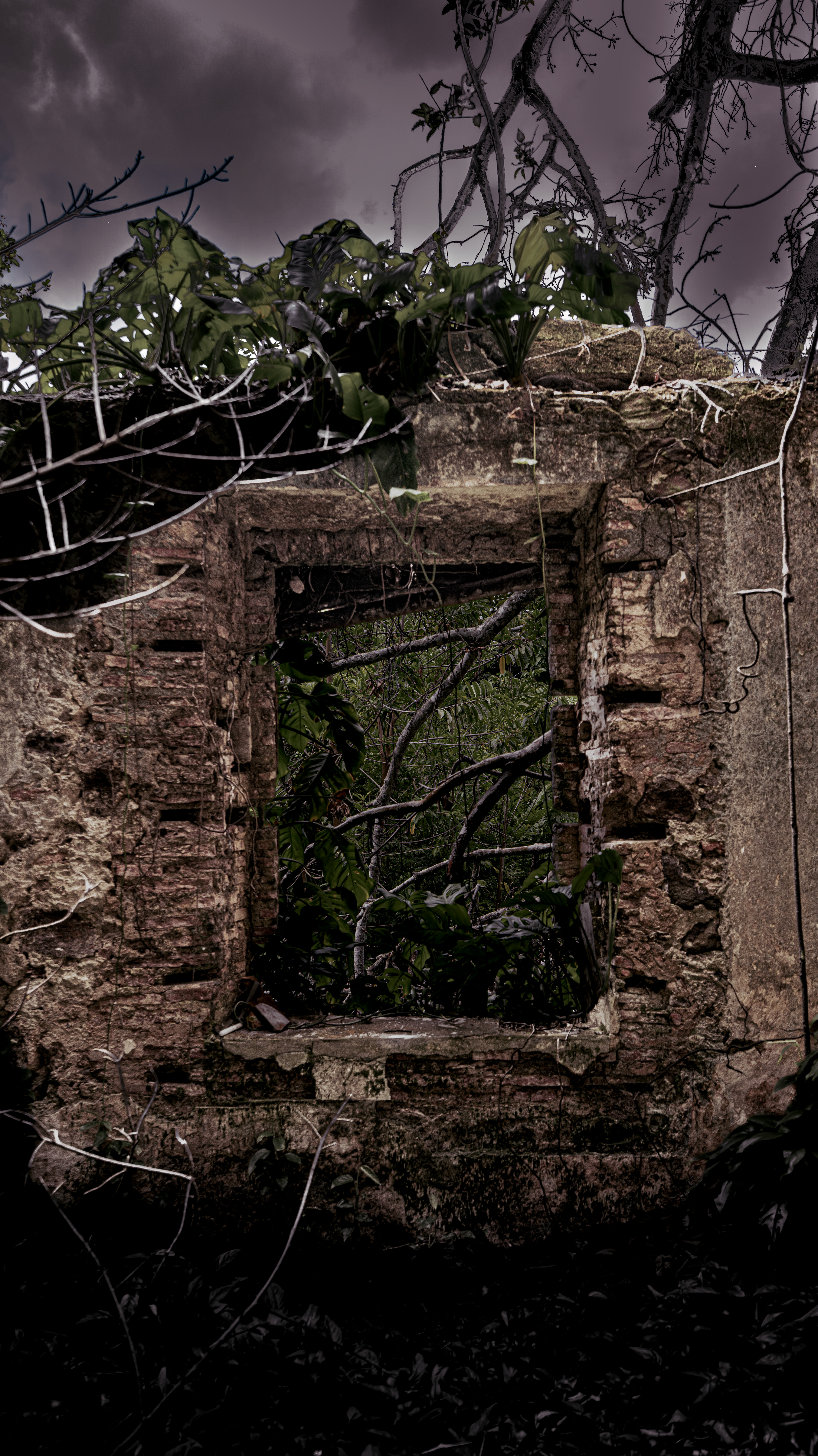 La ossamenta del tiempo