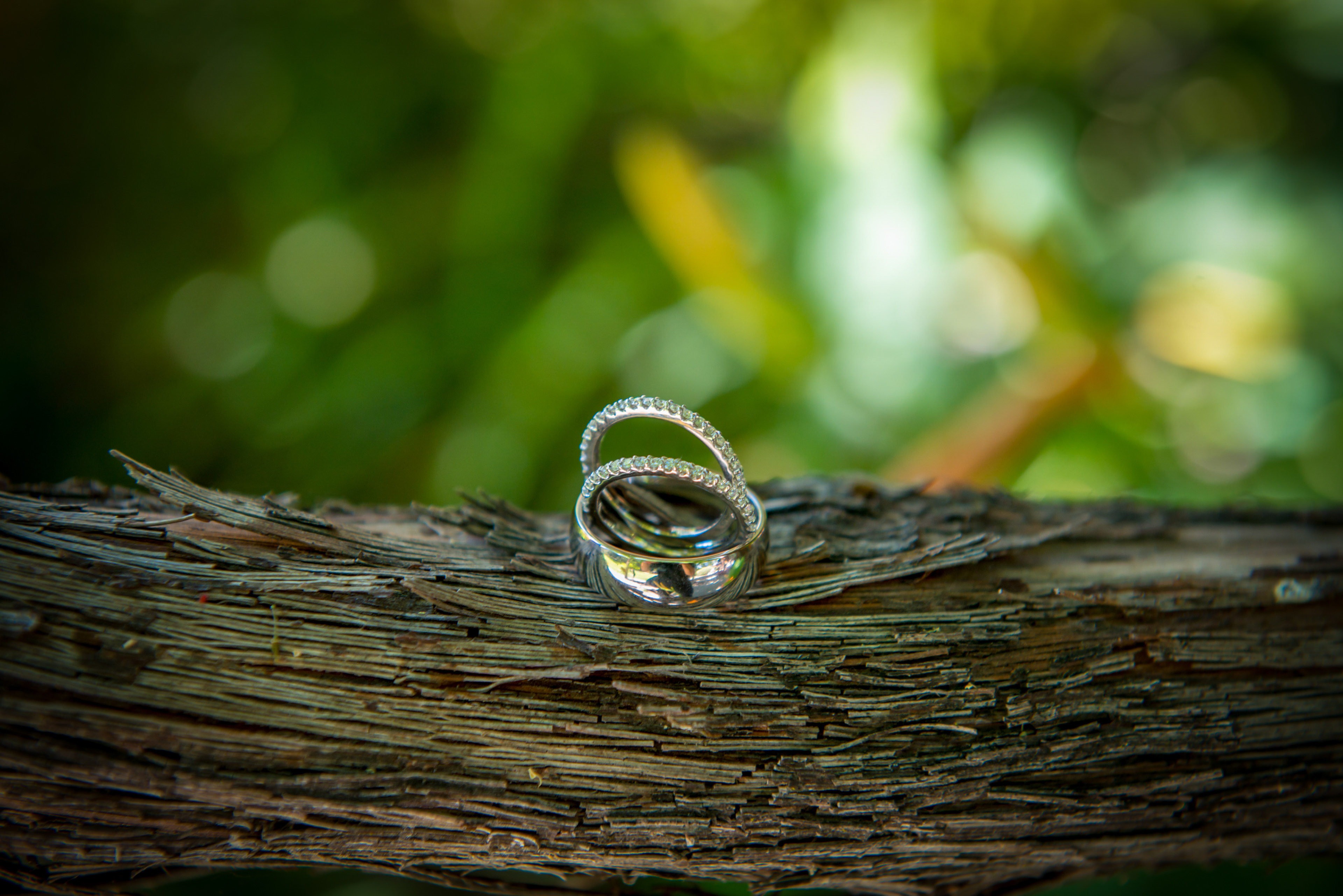Monterey Photography Wedding Rings