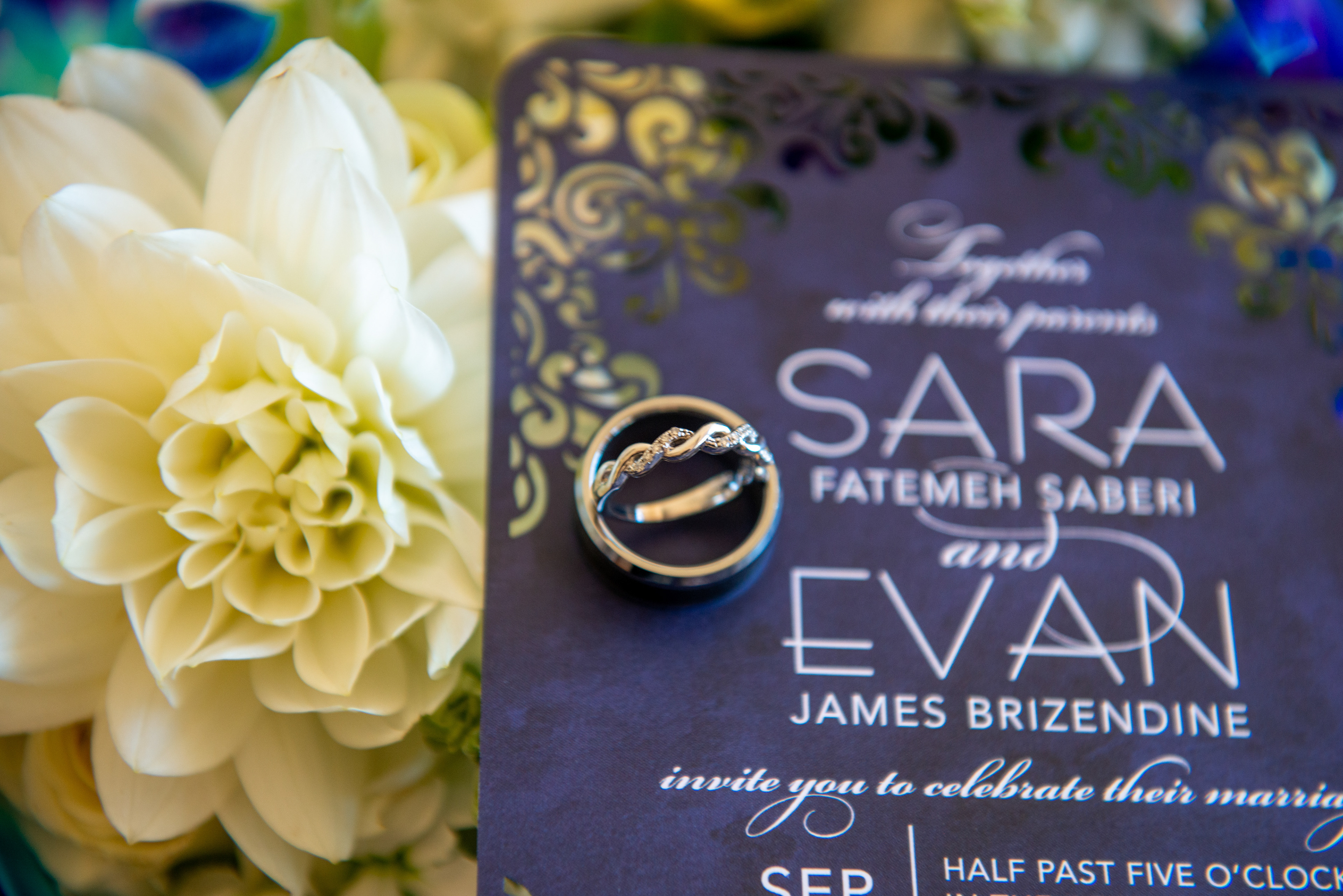 Monterey Photography Wedding Rings