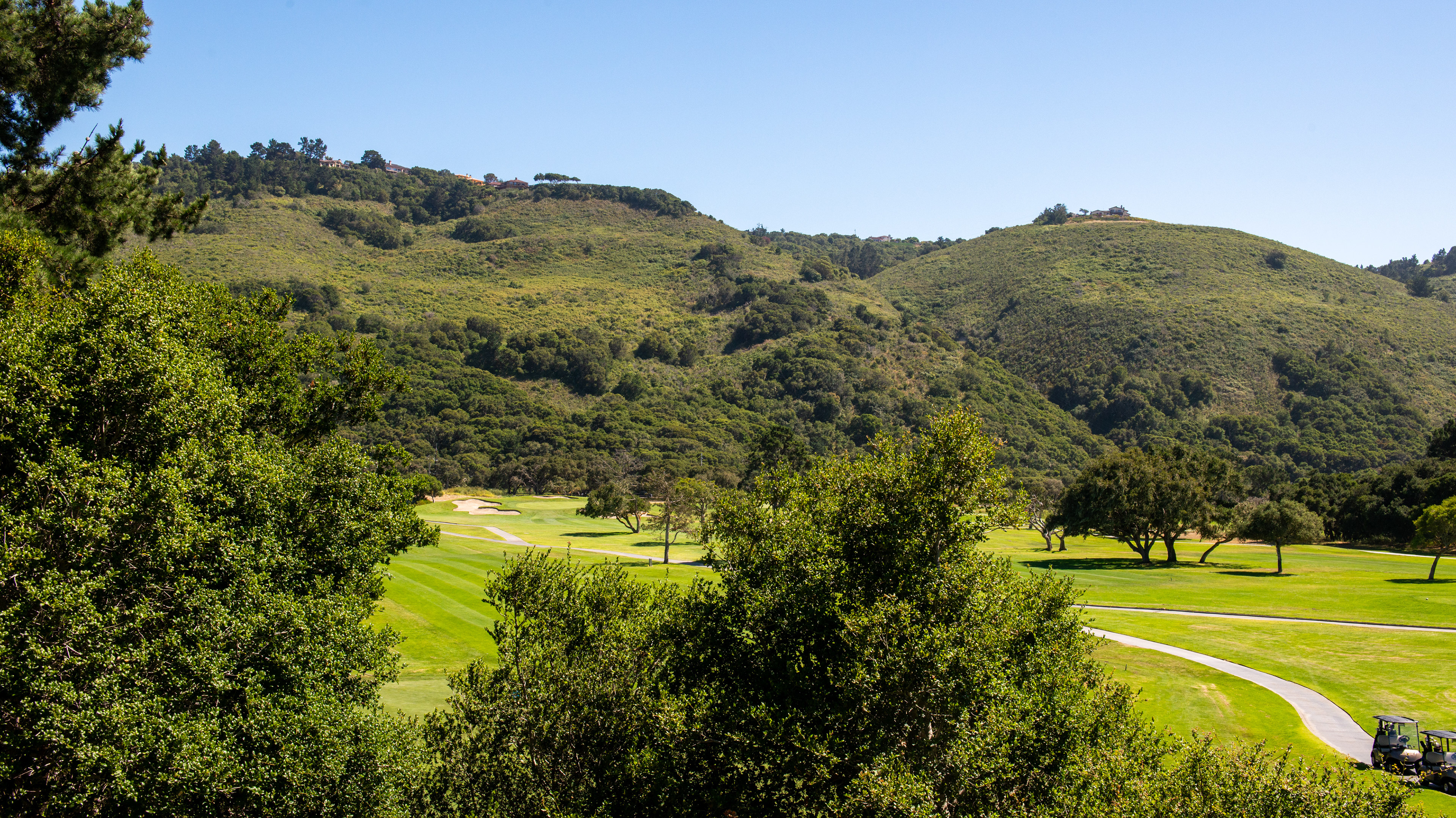 Fairview Laguna Seca outdoor ceremony with rolling hills and oak trees in Monterey