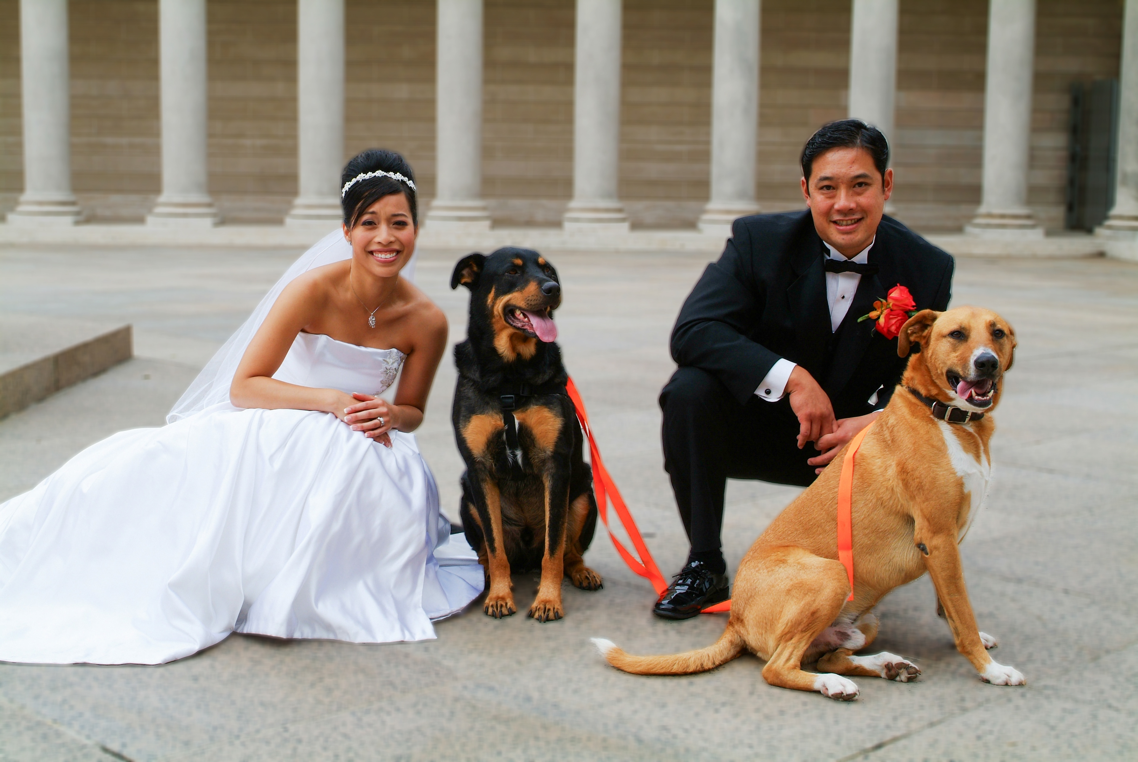 Pets in Weddings, Wedding Pets, Dogs at Weddings, Cats at Weddings, Wedding Pet Ideas, Pet-Friendly Weddings, Wedding Pet Attire, Pets in Wedding Photos, Pets in Wedding Ceremony, Pets in Wedding Reception, Wedding Pet Photography, Wedding Pet Planner, Pets as Wedding Guests, Pet Wedding Accessories, Unique Wedding Pet Ideas, Pets in Destination Weddings, Pets in Outdoor Weddings, Wedding Pet Safety, Incorporating Pets in Weddings, Pets in Wedding Videos