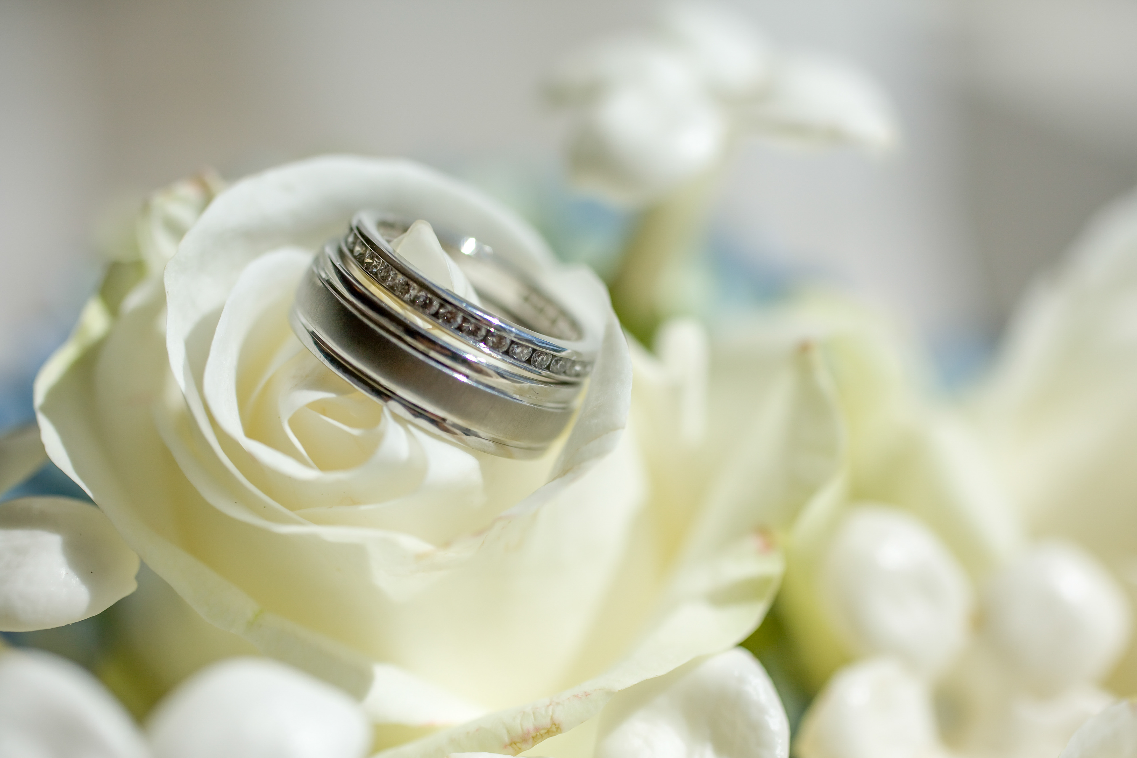 Monterey Photography Wedding Rings