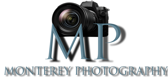 monterey bay wedding photography and website design