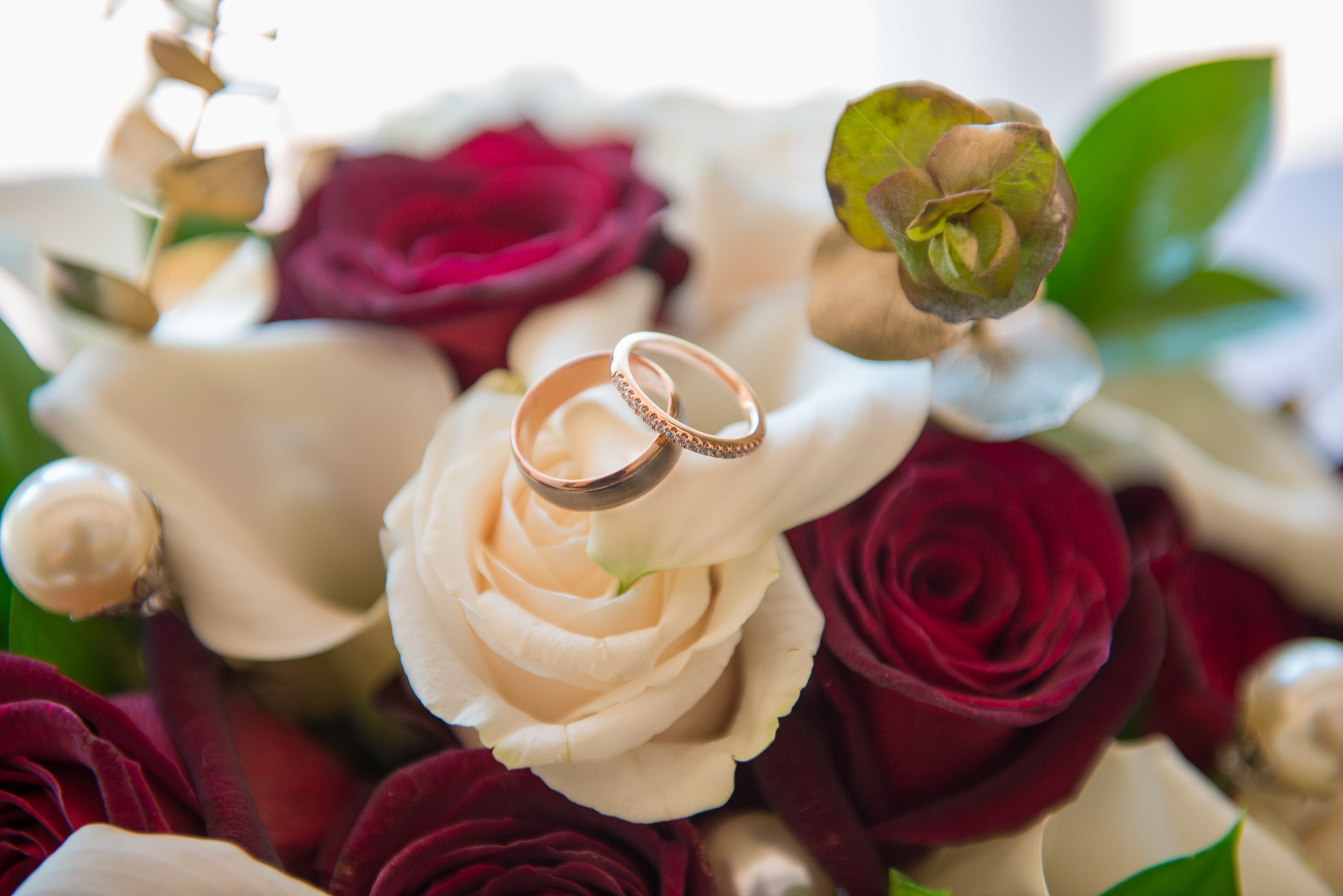 Monterey Photography Wedding Rings