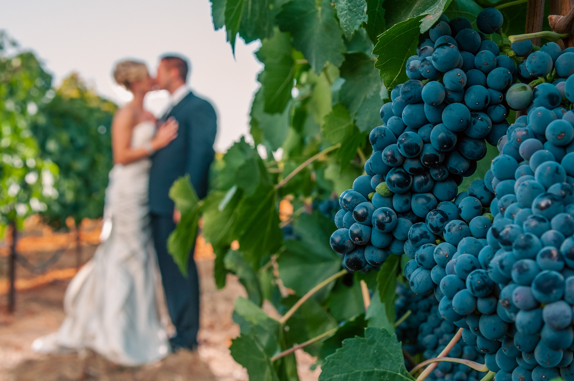 Monterey Wedding Photographer - Folk Tale Winery