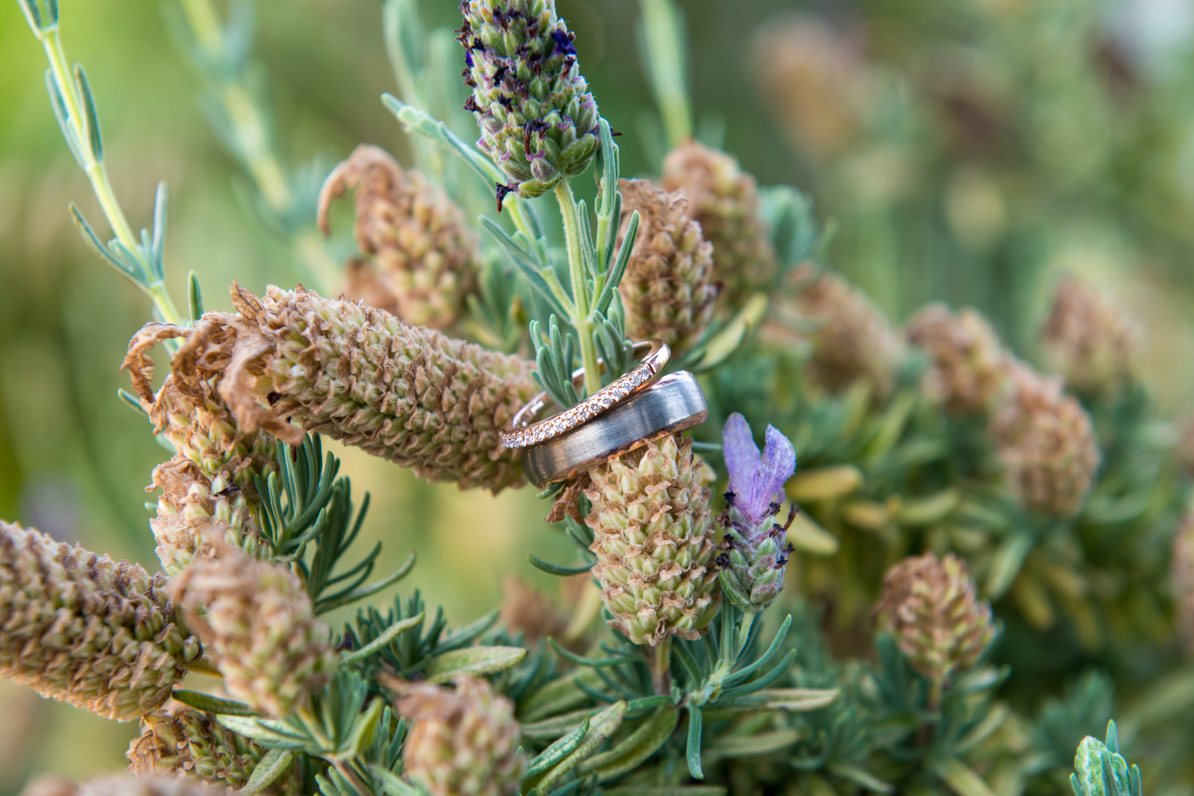 Engagement ring detail shot against Big Sur coastal cliffs